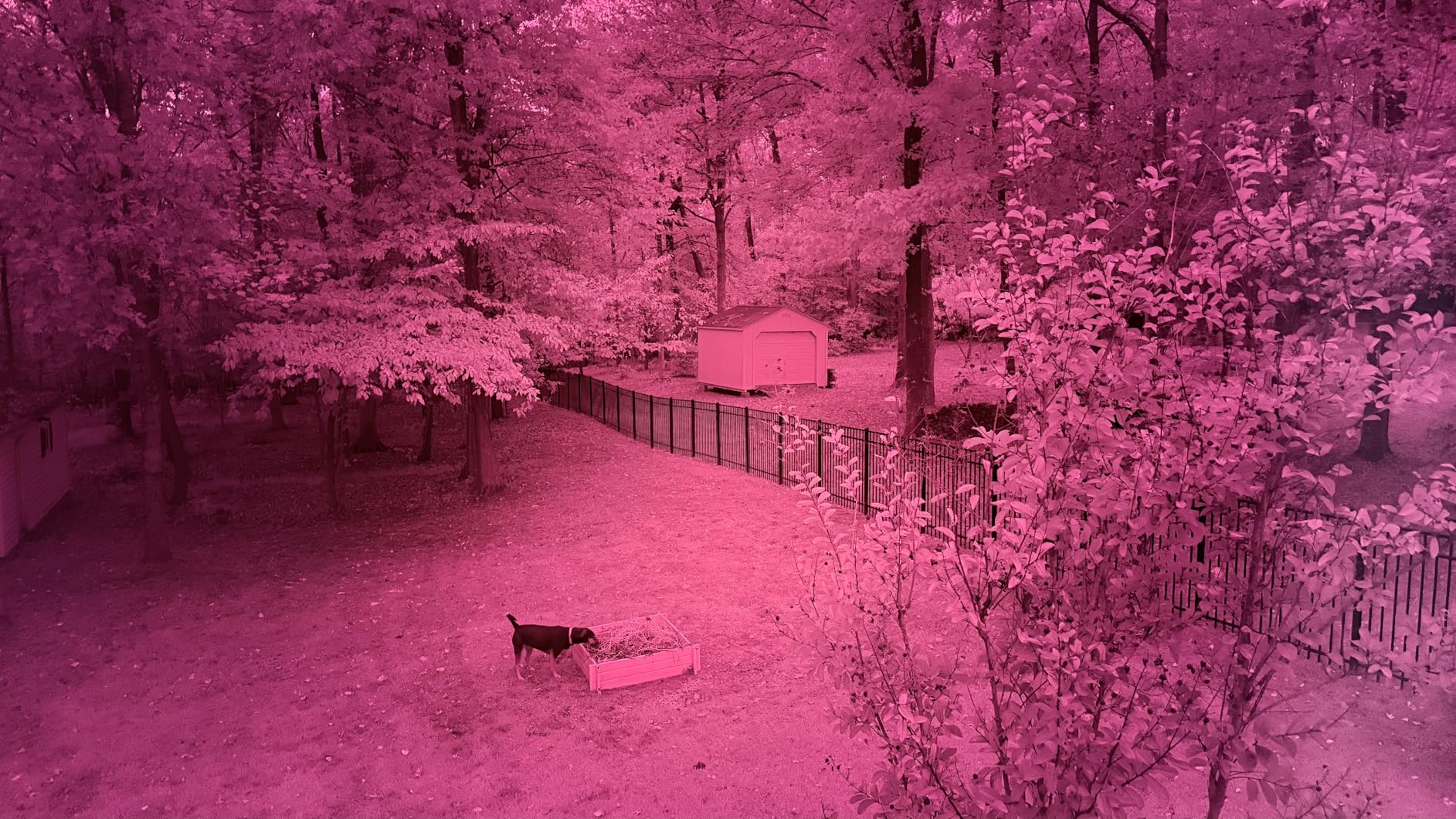 GREEN.L 52mm Infrared Filter, 52mm IR 720nm (R72) Filter for Camera Lens customer photo 2