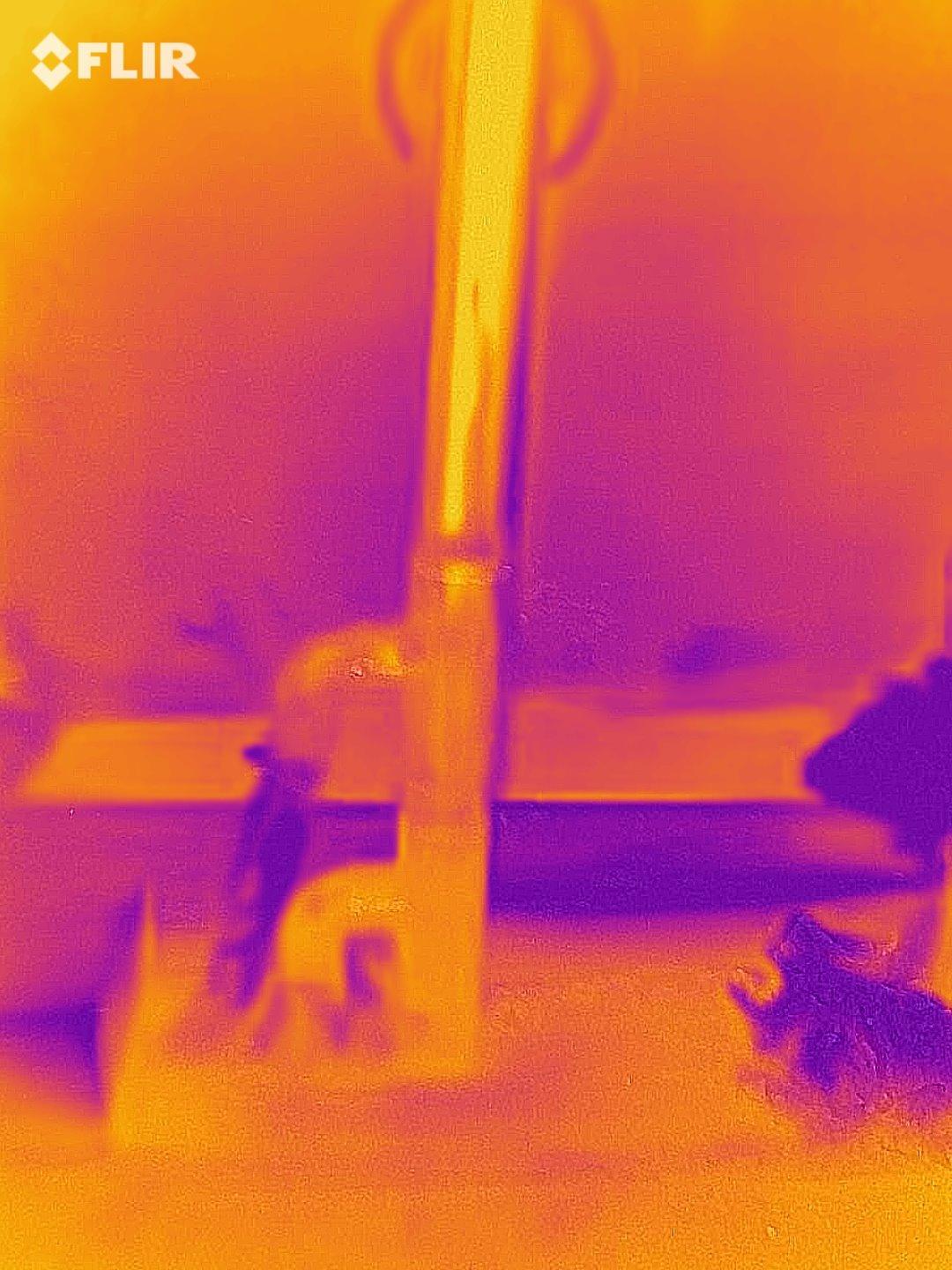 FLIR One Pro - Thermal Imaging Camera for Android Smartphones (USB-C), 480x360 Super Resolution (160x120 Native IR) customer photo 1