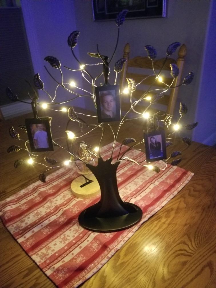 Americanflat Family Tree Picture Frame - Includes 12 Hanging 2x3 Picture Frames - Adjustable Ribbon Tassels - Ideal as Mother's Day Gifts or Christmas Decor - Black and Bronze customer photo 2