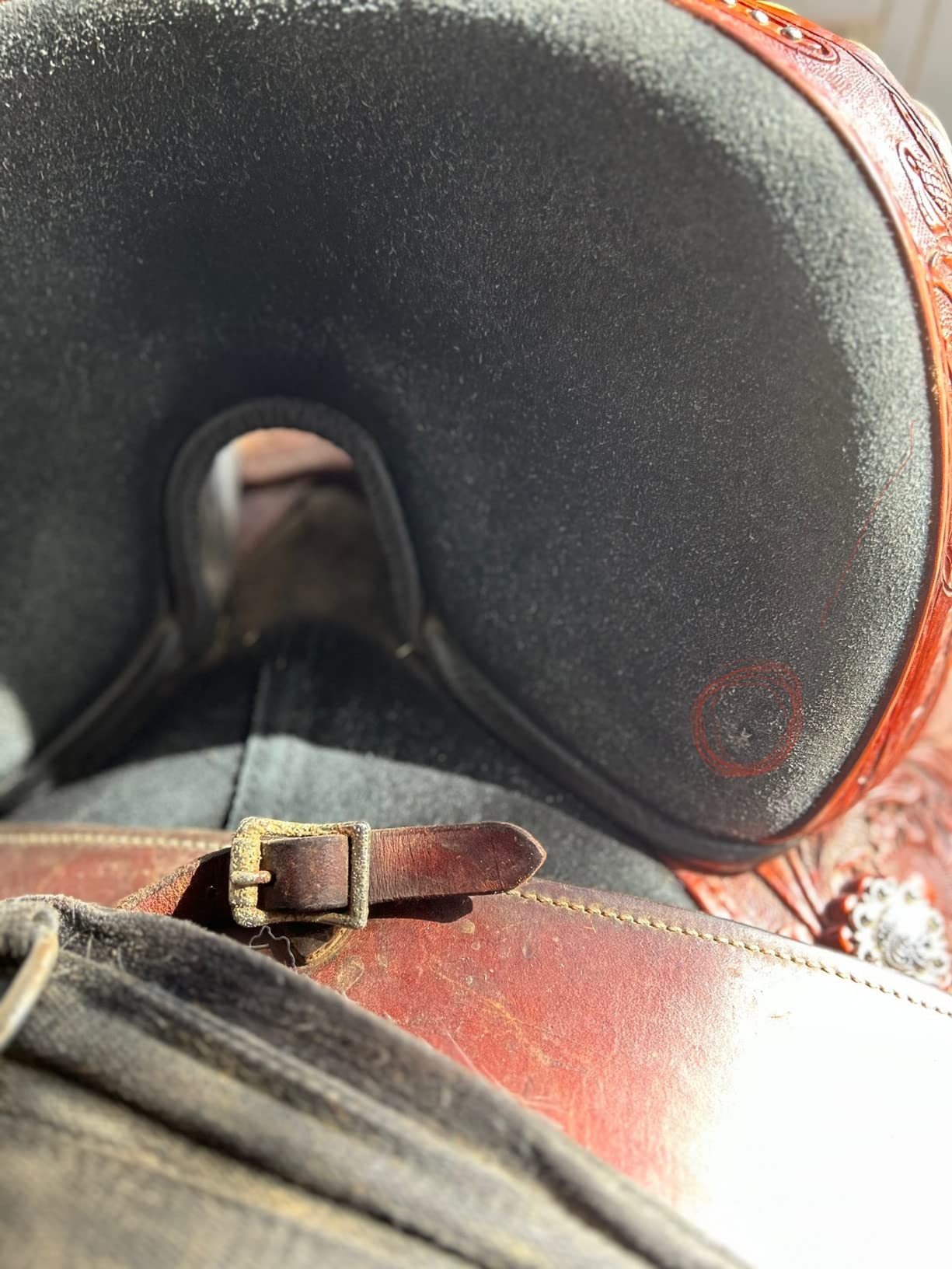 HILASON Western Horse Treeless Trail Barrel Saddle American Leather Tan | Horse Saddle | Western Saddle | Treeless Saddle | Saddle for Horses | Horse Leather Saddle customer photo 2