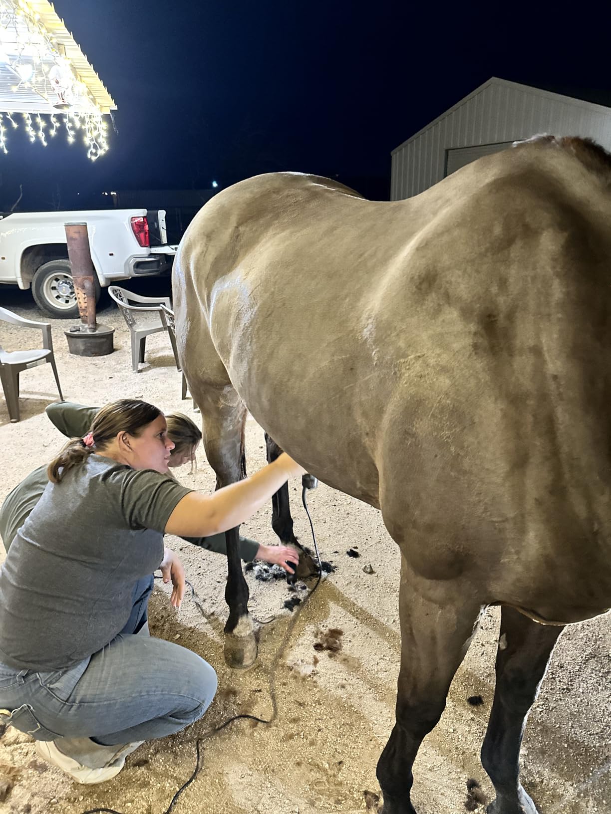 TAKEKIT Horse Clippers, 600W Professional Heavy Duty Horse Body Clippers, 6-Speeds Large Livestock Clippers for Body Clipping Horse Equine Cattle and Thick Coat Animals customer photo 1