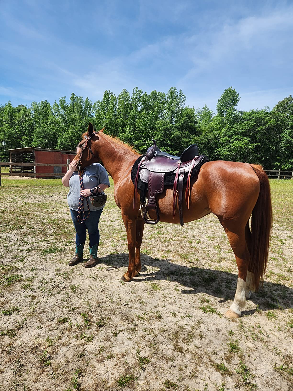HILASON Western Horse Saddle American Leather Flex Tree Trail & Pleasure Chocolate Brown customer photo 2