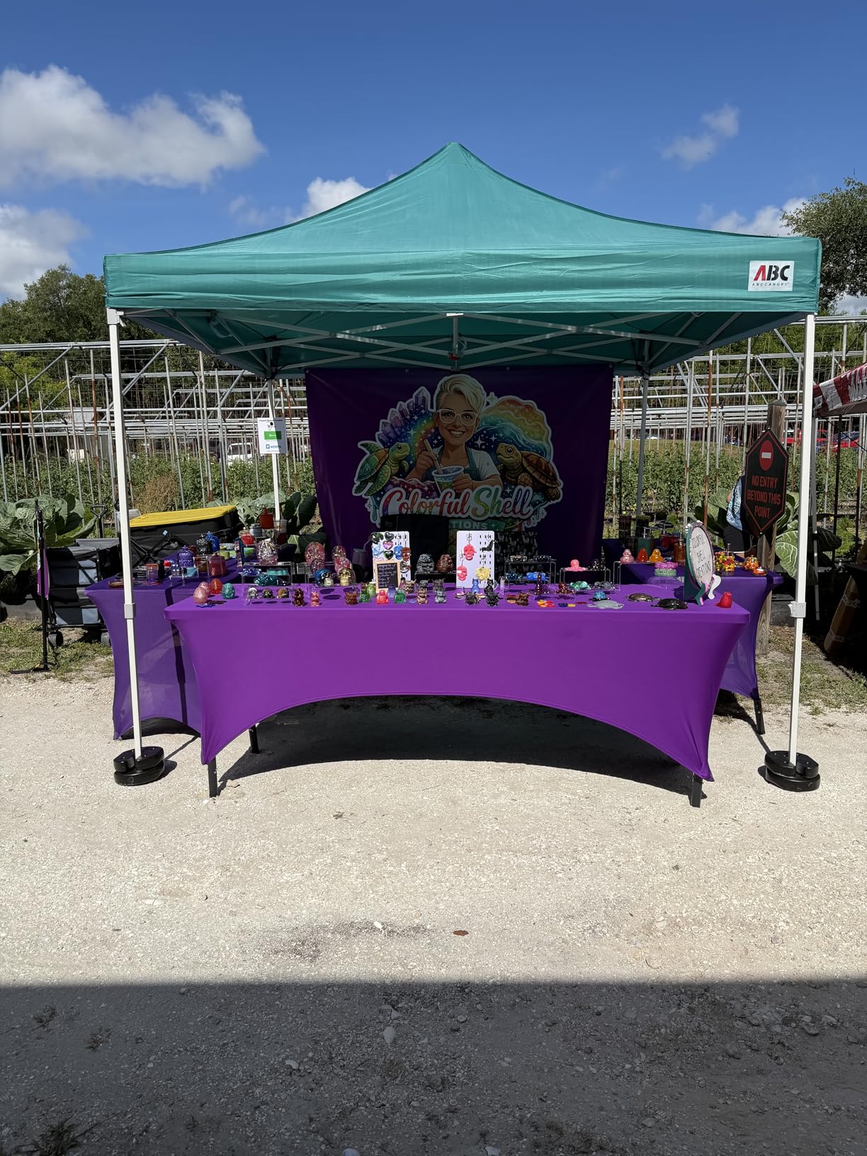 ABCCANOPY Easy Pop Up Canopy Tent with Sidewalls 10x10 Commercial -Series, White customer photo 1