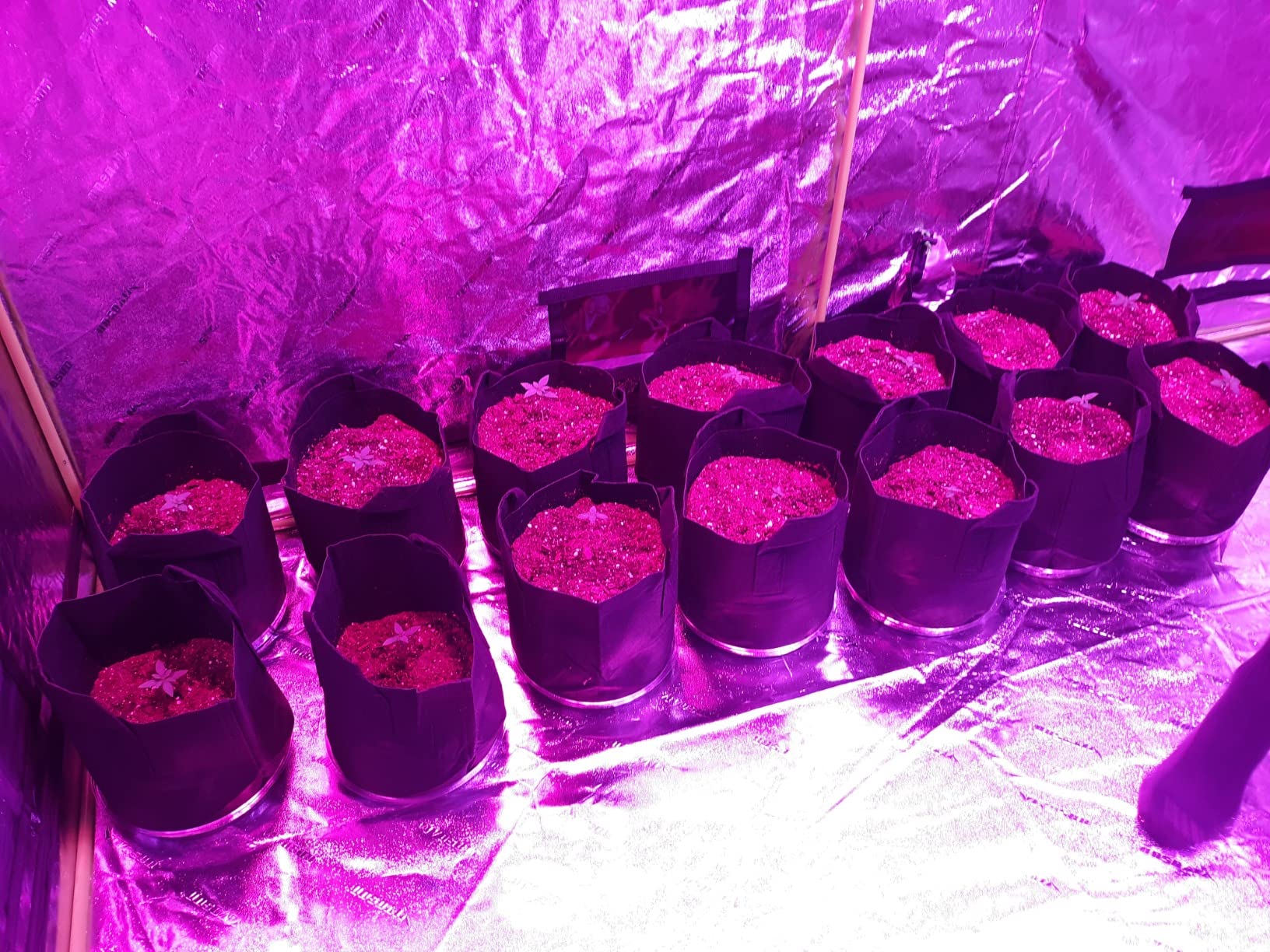 VIVOSUN S888 8x8 Grow Tent, 96
