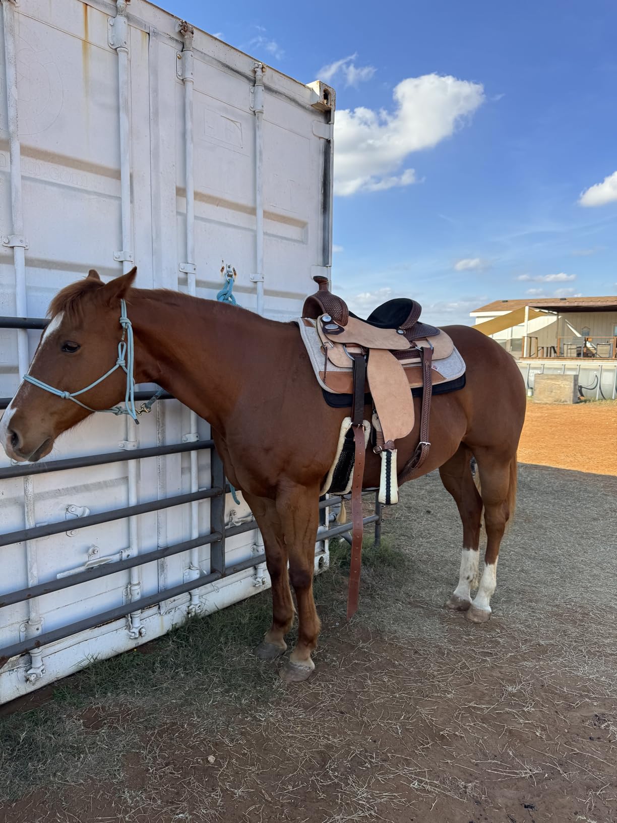 HILASON Western Horse Saddle American Leather Ranch Roping Cowboy | Hand Tooled Wade & for Horses customer photo 1