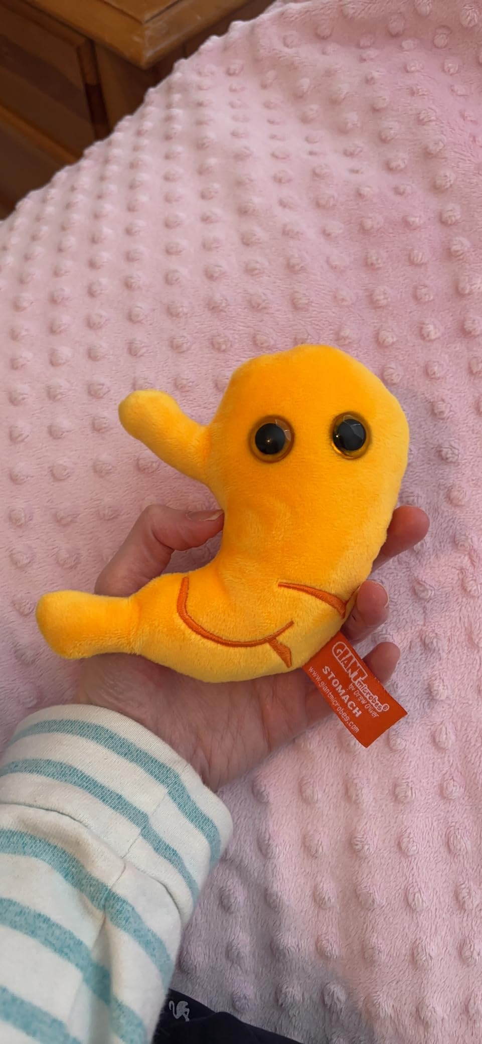 GIANT MICROBES Stomach Plush, Gastric Bypass Must Haves, Bariatric Surgery Must Haves, Gastroenterology Gifts, Surgical Tech Gifts, Acid Reflux, Dietitian Gift, Stomach Cancer Awareness, IBS Warrior customer photo 2