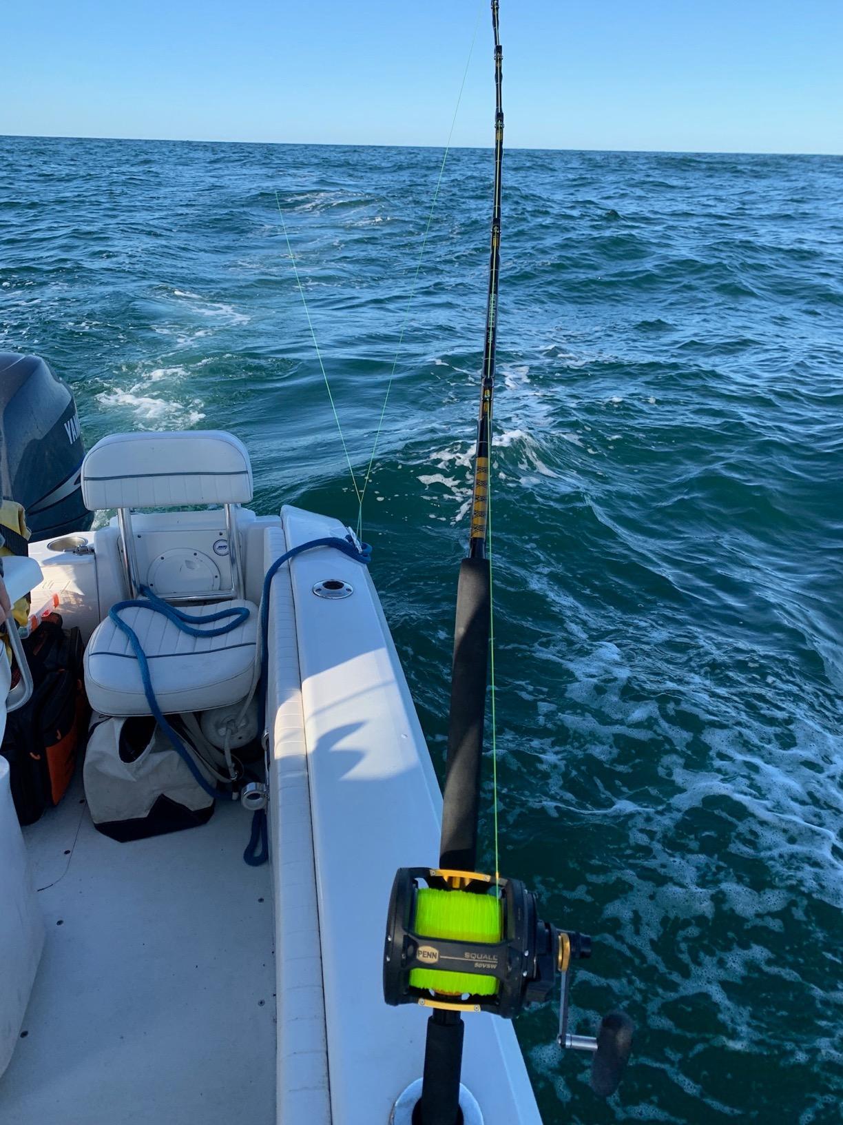 Fiblink 1-Piece/2-Piece Saltwater Offshore Heavy Trolling Rod Big Game Roller Rod Conventional Boat Fishing Pole (5 Feet 6 Inch, 30-50 lb/50-80 lb/80-120 lb) customer photo 2