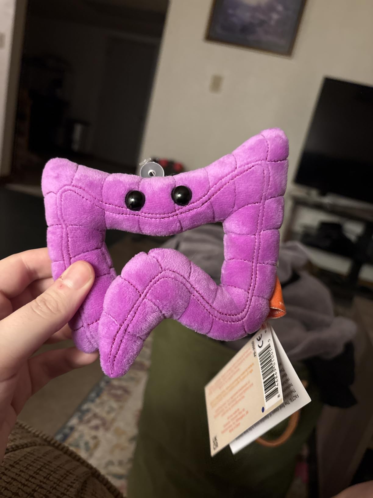 GIANT MICROBES Colon Plush, Funny Colonoscopy Gifts, Colon Cancer Awareness Items, Gastroenterology Gifts, Surgery Recovery Items, Colonoscopy Gift, Organ Plushies customer photo 1