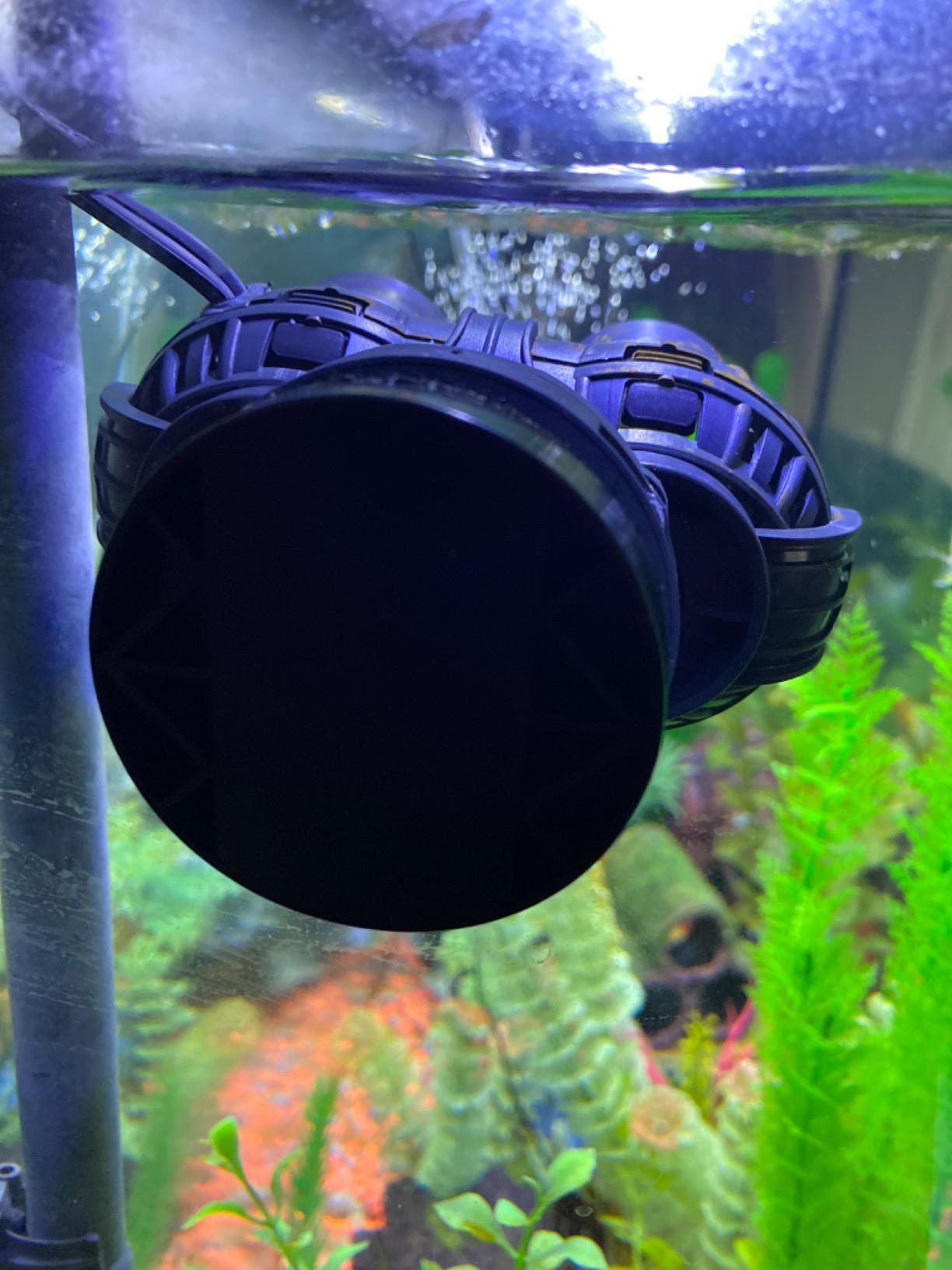 FREESEA Magnetic Wave Maker for Aquarium: 1s Snap on 15mm Glass & Dry-Hand Relocation - Dual 180 Degree Adjustable Heads Eliminate Dead Spots Improve Water Quality for 55-125 Gallon Fish Tank customer photo 1