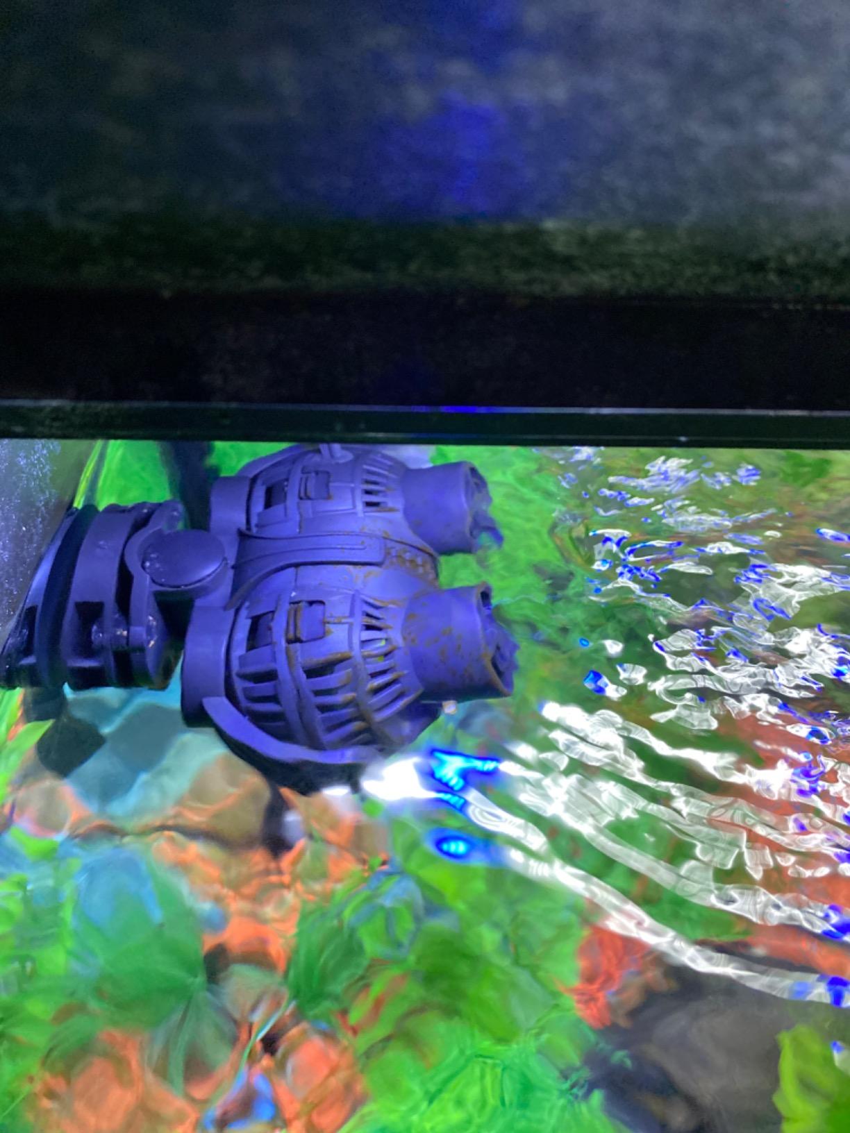 FREESEA Magnetic Wave Maker for Aquarium: 1s Snap on 15mm Glass & Dry-Hand Relocation - Dual 180 Degree Adjustable Heads Eliminate Dead Spots Improve Water Quality for 55-125 Gallon Fish Tank customer photo 2