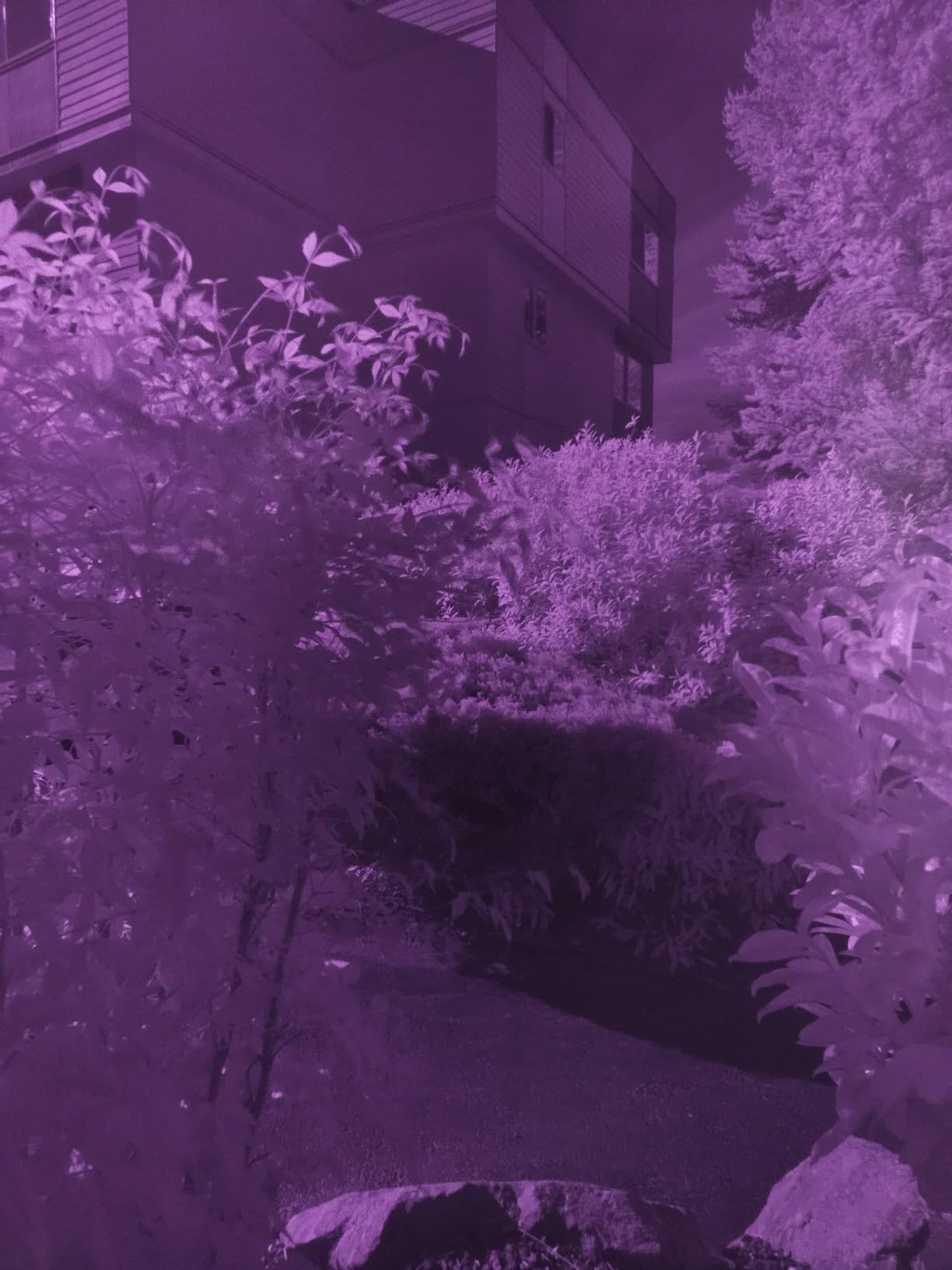 GREEN.L 58mm Infrared Filter, 58mm IR 950nm (R95) Filter for Camera Lens customer photo 1