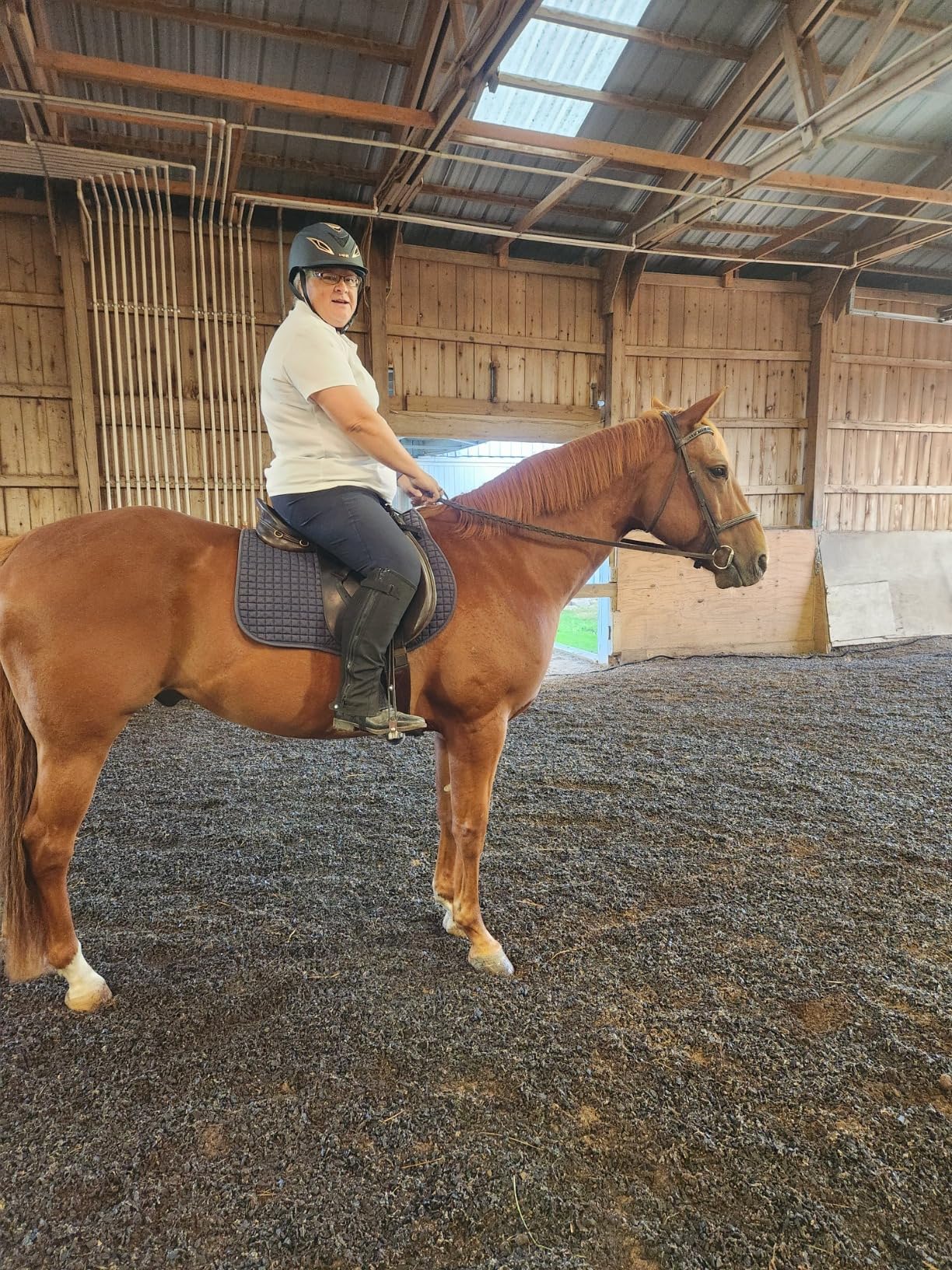 Unisex Adult Amara Synthetic Equestrian Half Chaps Black Leather Half Chaps (Medium) customer photo 1