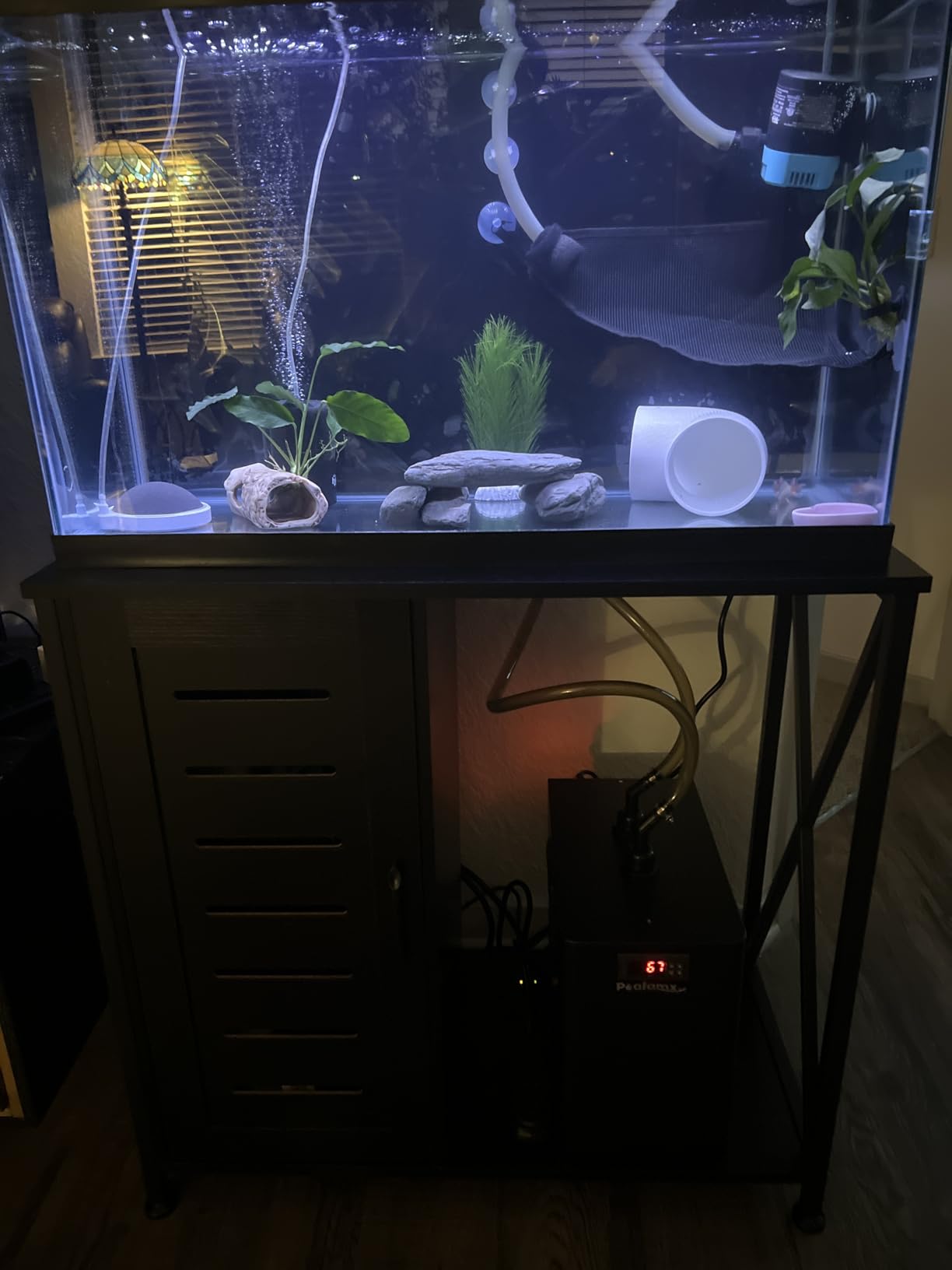Poafamx 1/3 HP Aquarium Chiller, Quiet Titanium Fish Tank Water Chiller 40-80 Gal, Energy-Saving Aquarium Cooler for Saltwater Freshwater Axolotl Coral Reef Hydroponic customer photo 1