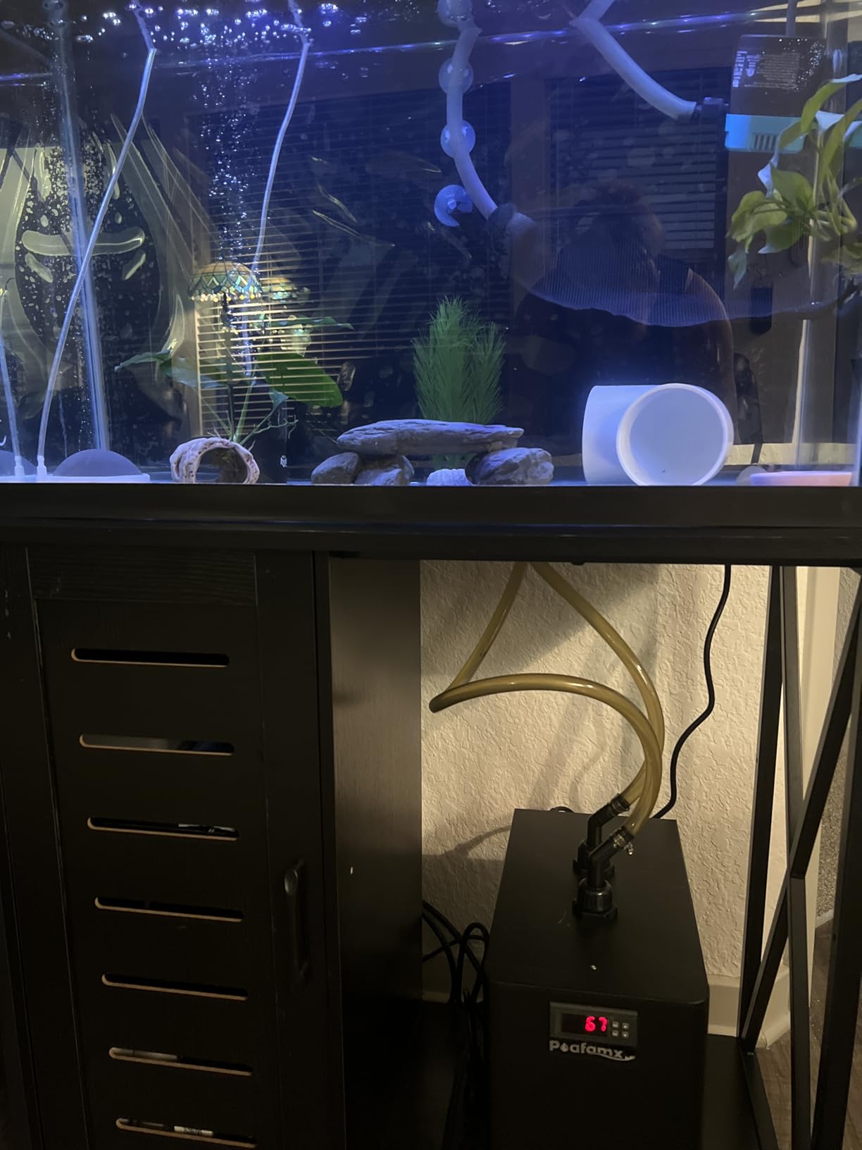 Poafamx 42gal Aquarium Chiller, 1/10 HP Water Chiller with Quiet Compressor for Hydroponics System, Coral Reef Tank, Axolotl & Jellyfish, 160L Freshwater Saltwater Cooling System customer photo 2