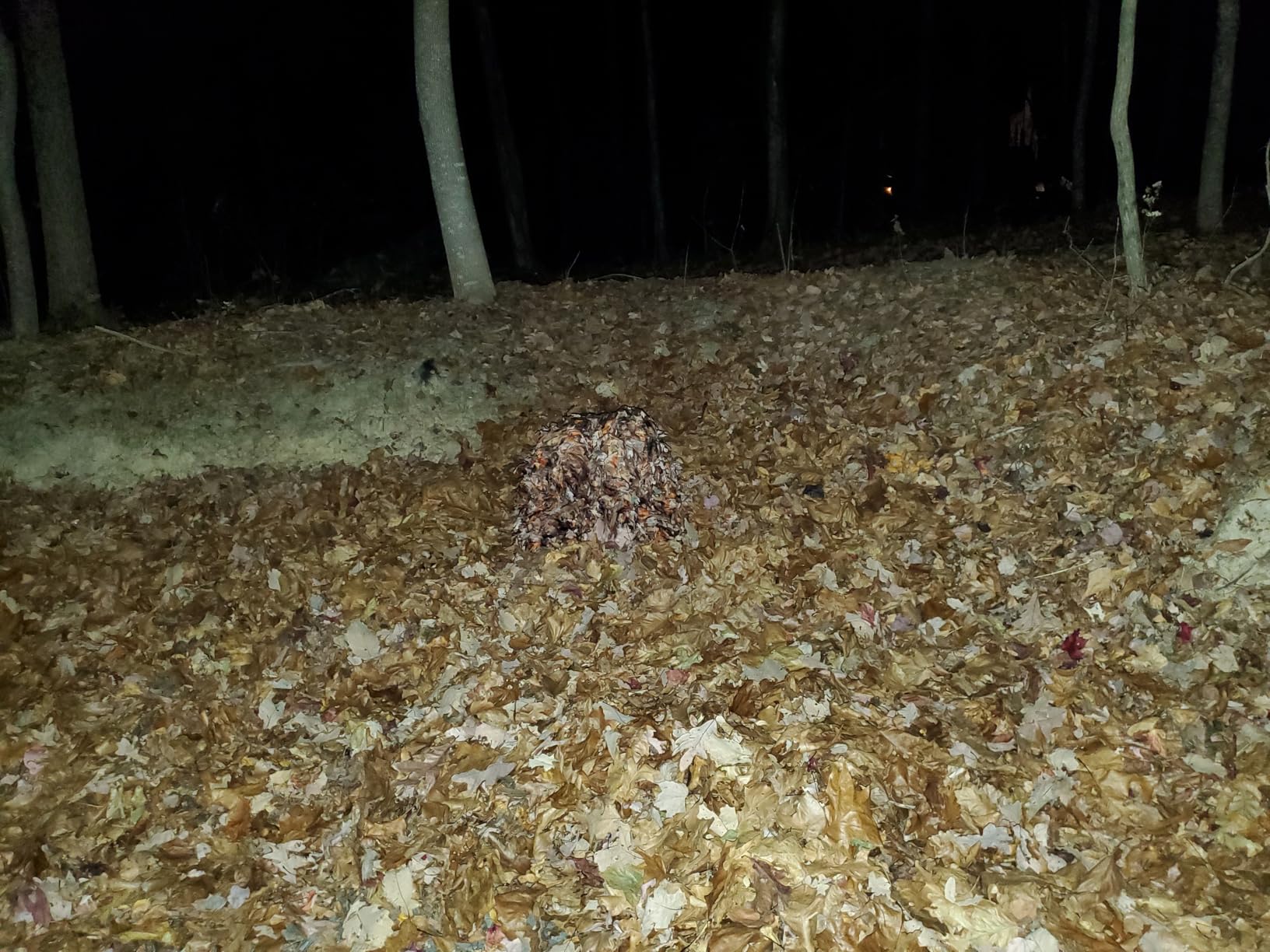 North Mountain Gear Woodland Camo Ghillie Suit 3D Leaf with Zippers and Pockets customer photo 1