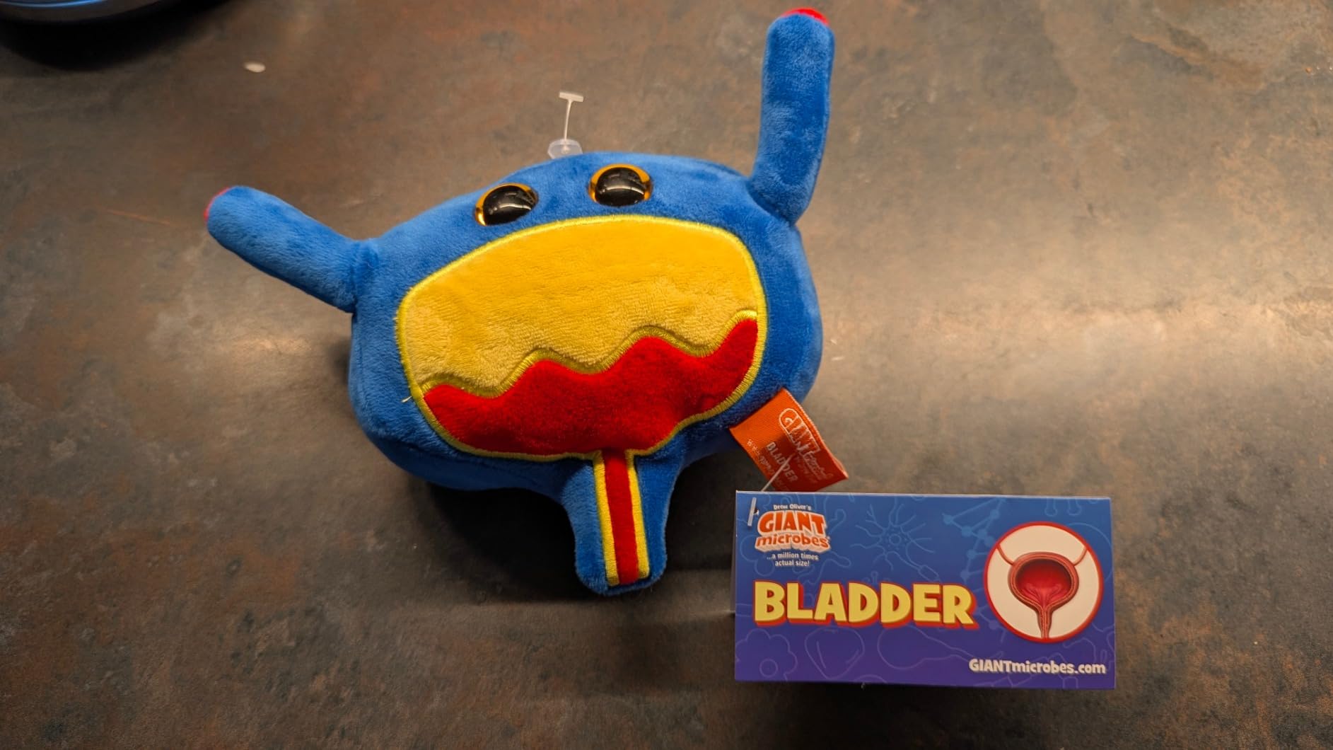GIANT MICROBES Bladder Plushie - Urology Gifts customer photo 2