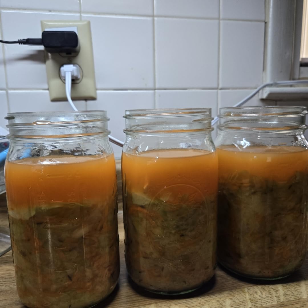 Mason Jar Fermentation Kit - Food Grade Fermenting Lids for Wide Mouth Mason Jars, includes Easy Grip Fermenter Lids 4-Pack, Weights and Pump - a Great Starter Sauerkraut Fermenting Kit, Brillenti customer photo 1