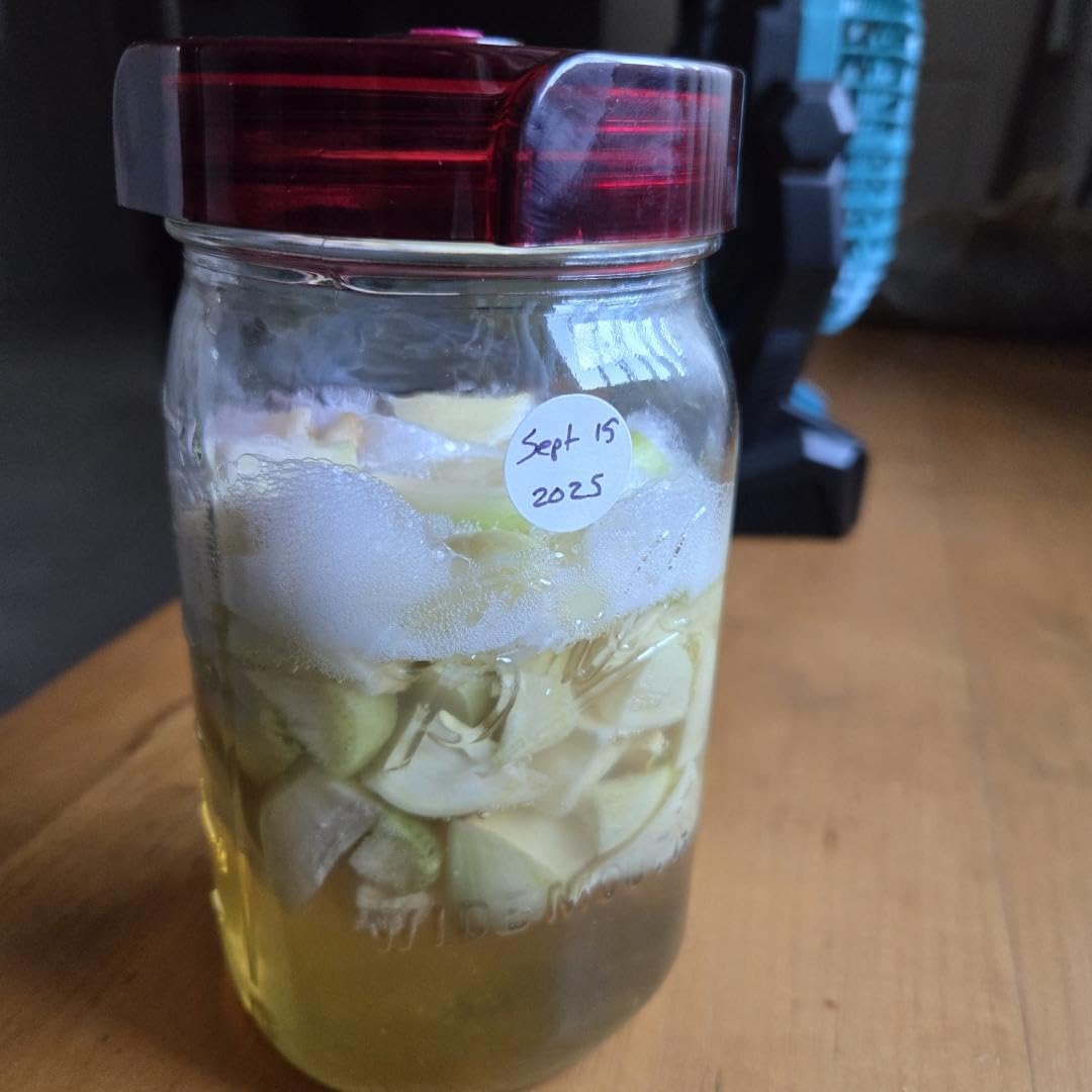 Mason Jar Fermentation Kit - Food Grade Fermenting Lids for Wide Mouth Mason Jars, includes Easy Grip Fermenter Lids 4-Pack, Weights and Pump - a Great Starter Sauerkraut Fermenting Kit, Brillenti customer photo 2