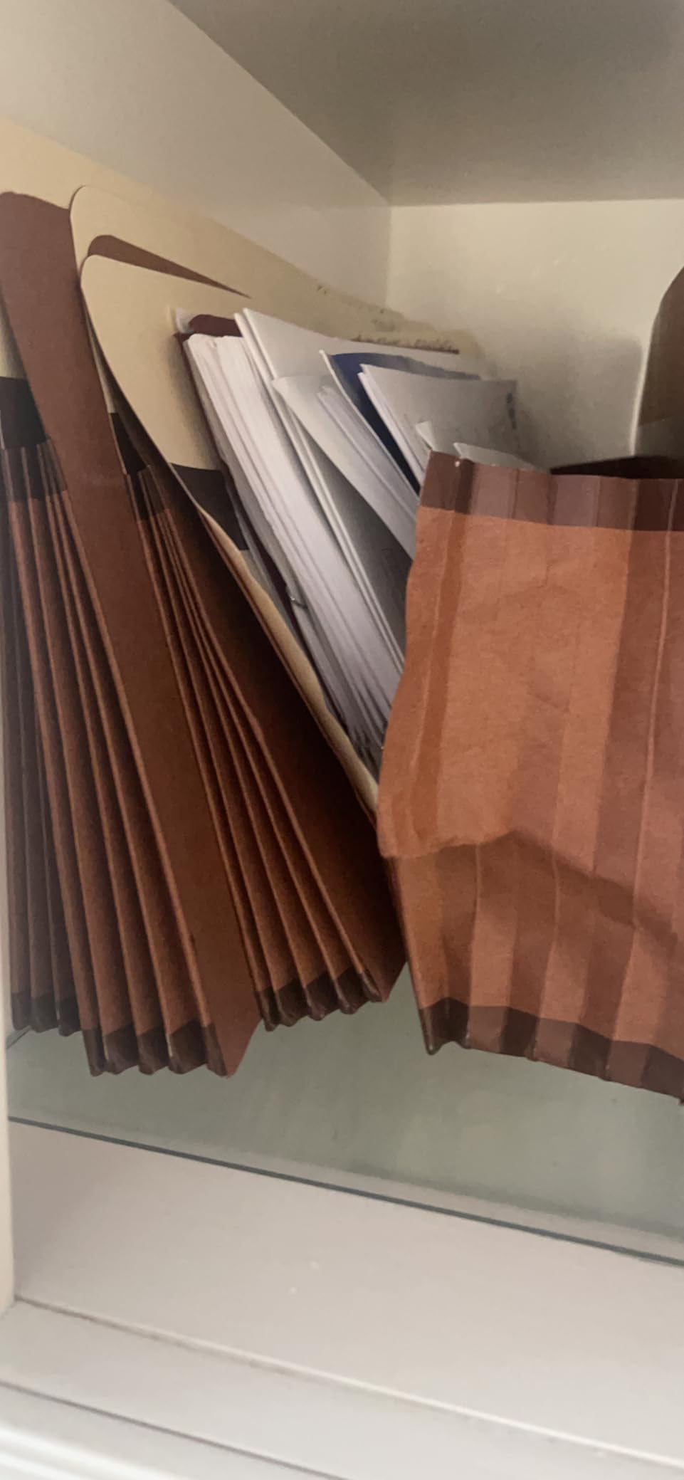 Pendaflex Expanding Accordion File Pockets, Extra Durable, Expands 3.5