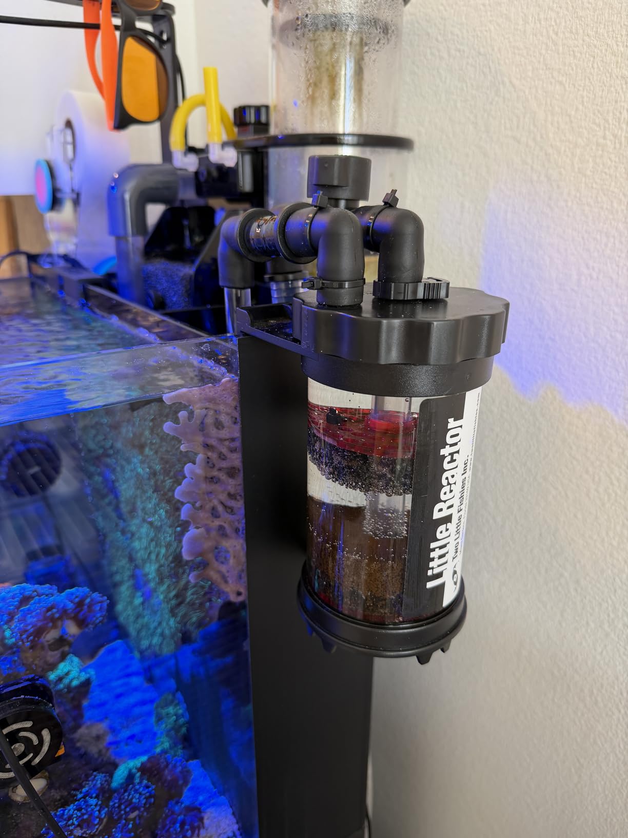 Little Reactor customer photo 1
