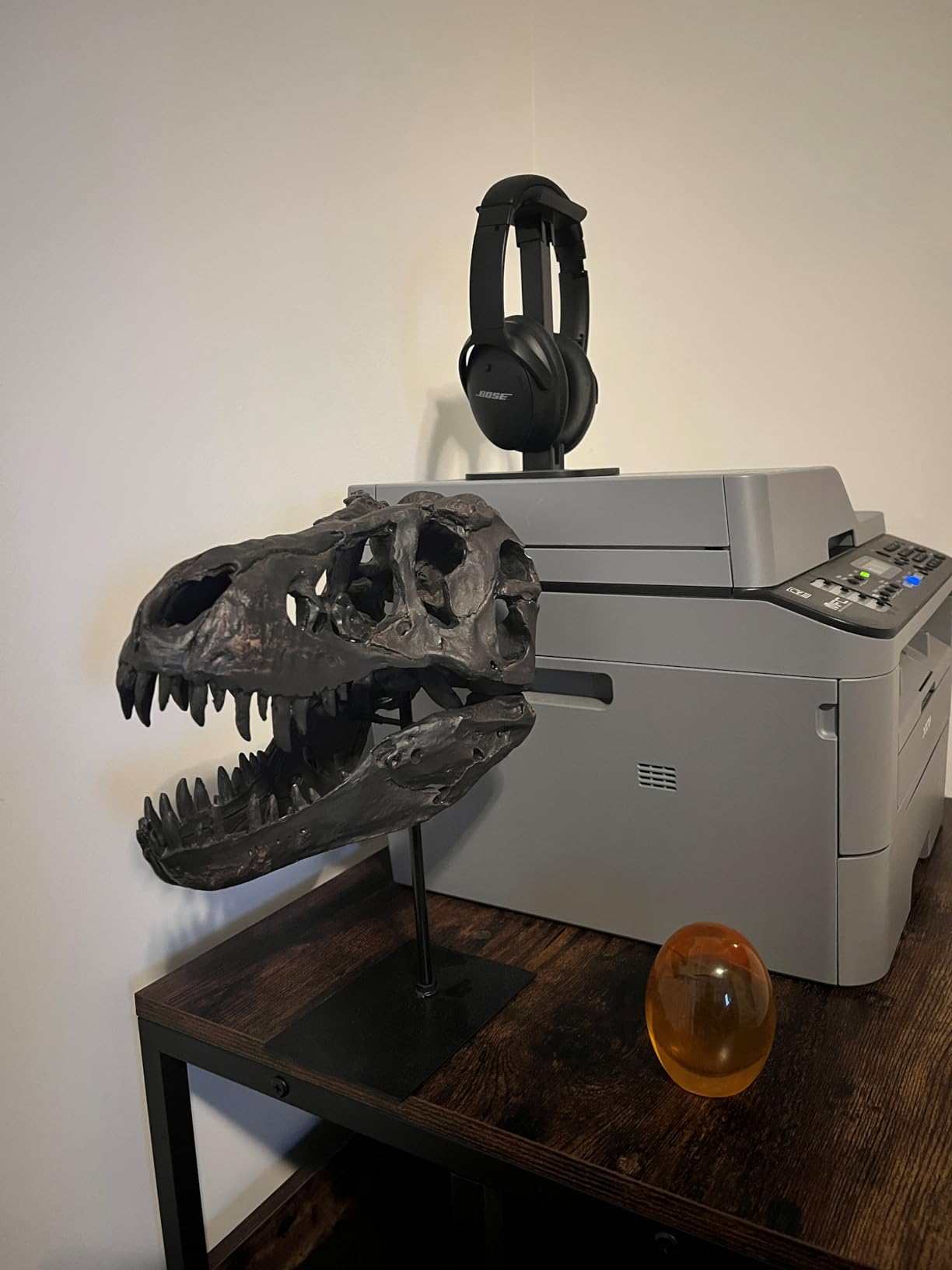 T Rex Skull, Dinosaur Statue Resin Dinosaur Skull Fossil Replica Skeleton Sculptures, Decorative Ornaments for Office Desktop Cabinets Home Kids Adults customer photo 2