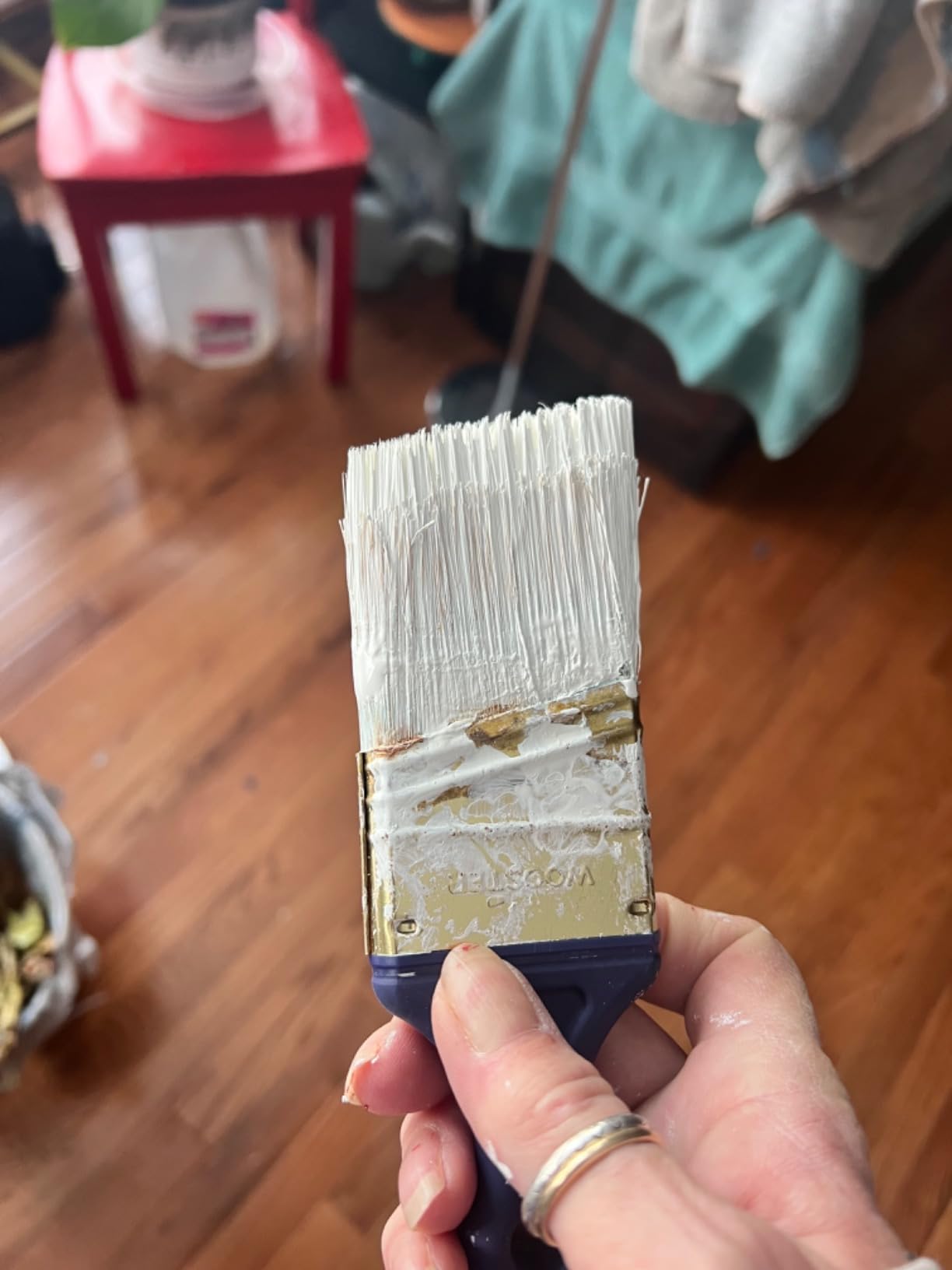 Wooster Brush Q3211-2 Shortcut Angle Sash Paintbrush, 2-Inch, White | Pack of 3 customer photo 2