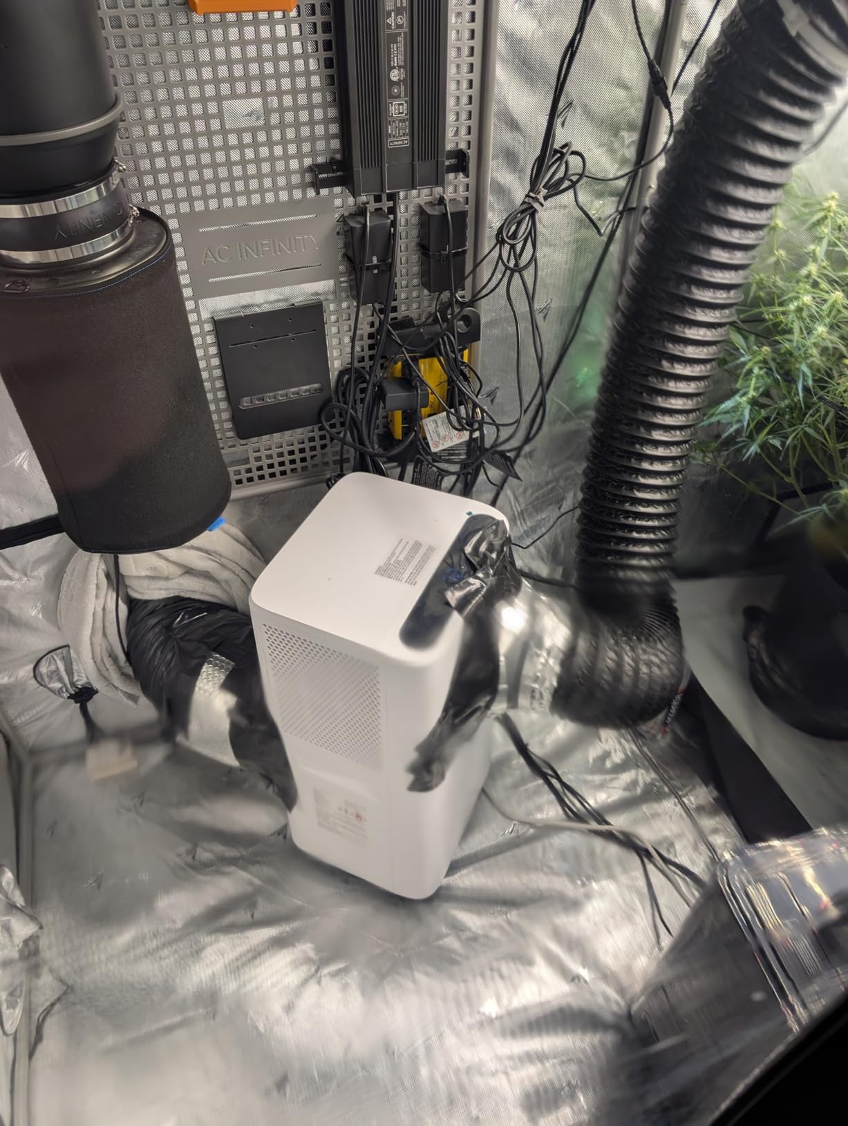 AC Infinity CLOUDLAB 894, Advance Grow Tent 8x4, Thickest 1