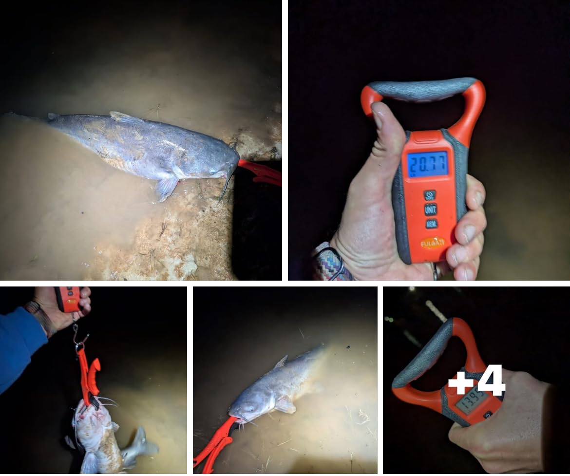 Fish Scale Digital Waterproof Floating with Carry Case Fishing Weighing Scale with Lip Gripper, Backlit LCD Display,110lb Capacity Memory Storage & Summation -Fishing Gifts for Men customer photo 1