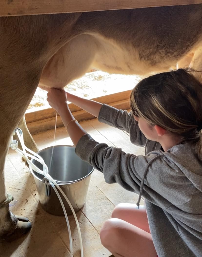Cow Milking Machine 12L, Plug-in Powered, Speed Adjustable Pulsating Vacuum Pump, Food Grade 304 Stainless Steel Milk Bucket, Auto-Stop Check Valve, Electric Cow Milker (Classic Model) customer photo 1