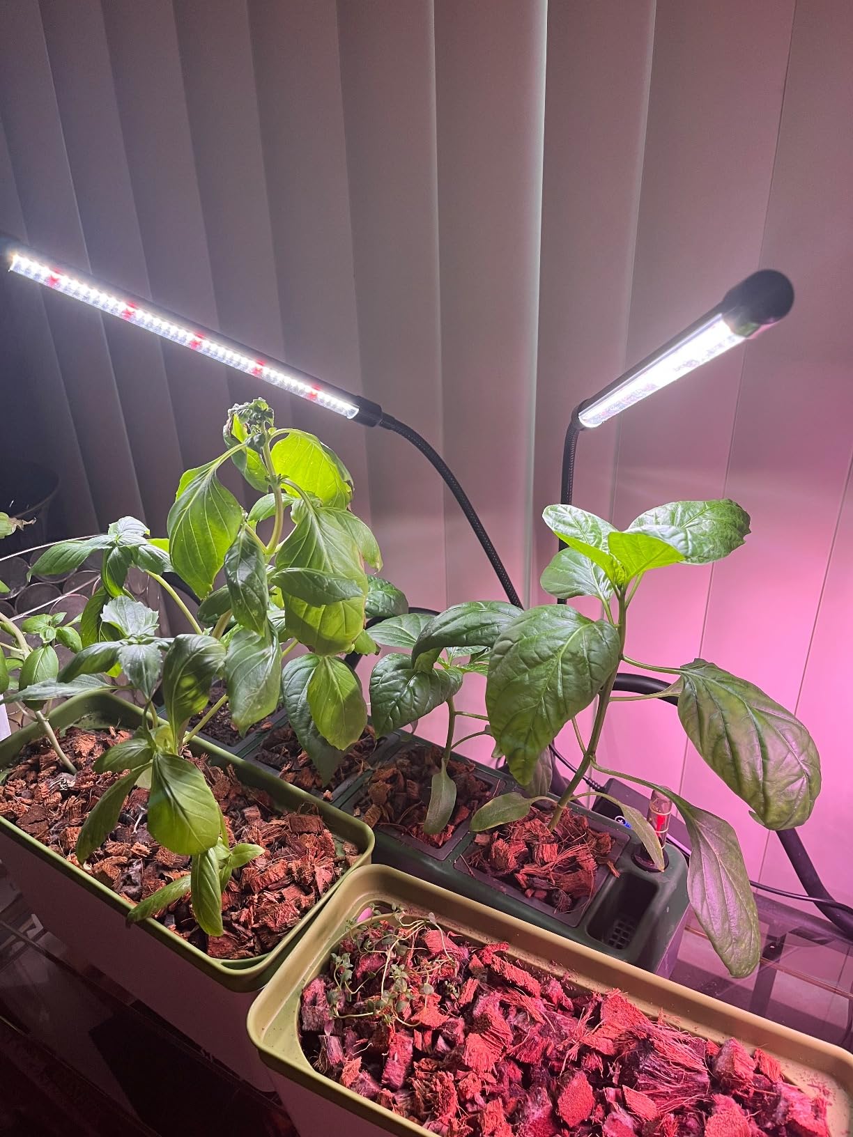 iDOO Hydroponics Growing System Kit 12Pods, Indoor Herb Garden with LED Grow Light, Built-in Fan, Auto-Timer, Adjustable Height Up to 11.3