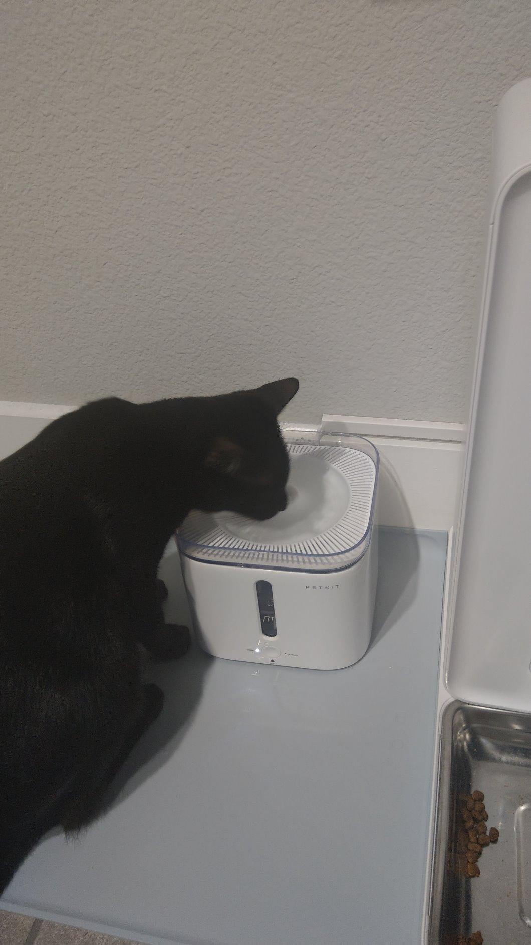 PETKIT EVERSWEET Solo 2 Cat Water Fountain with Pump, Ultra Quiet 70oz/2L Pet Water Fountain for Cats and Dogs Inside, 3 Working Modes, Visualization Window, (App Control) customer photo 1
