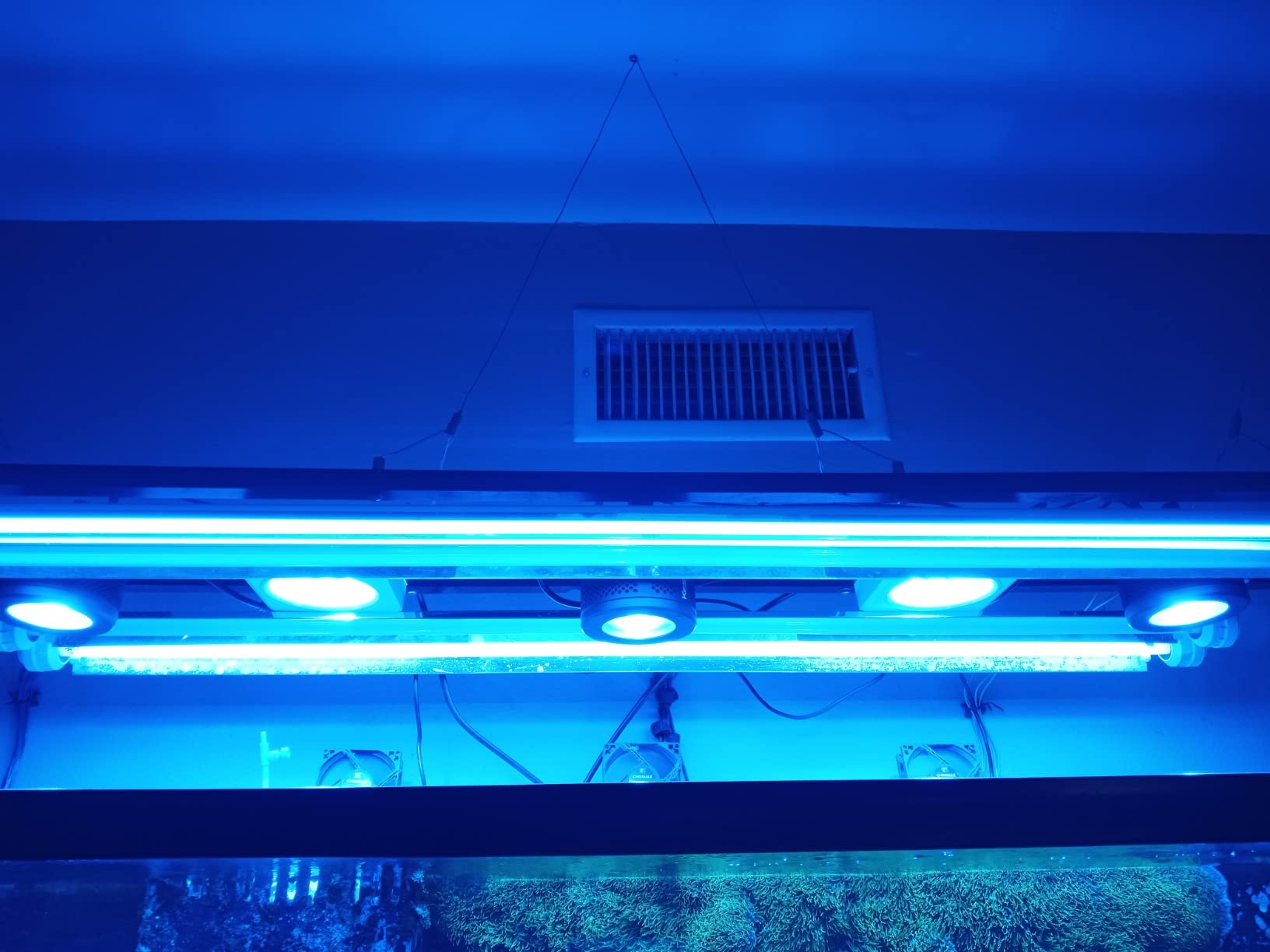 PopBloom RL90 WiFi Reef LED Light, 200W Reef Aquarium Lighting for SPS LPS Corals and Saltwater Fish Tanks, Enhanced Violet and Blue Spectrum customer photo 1
