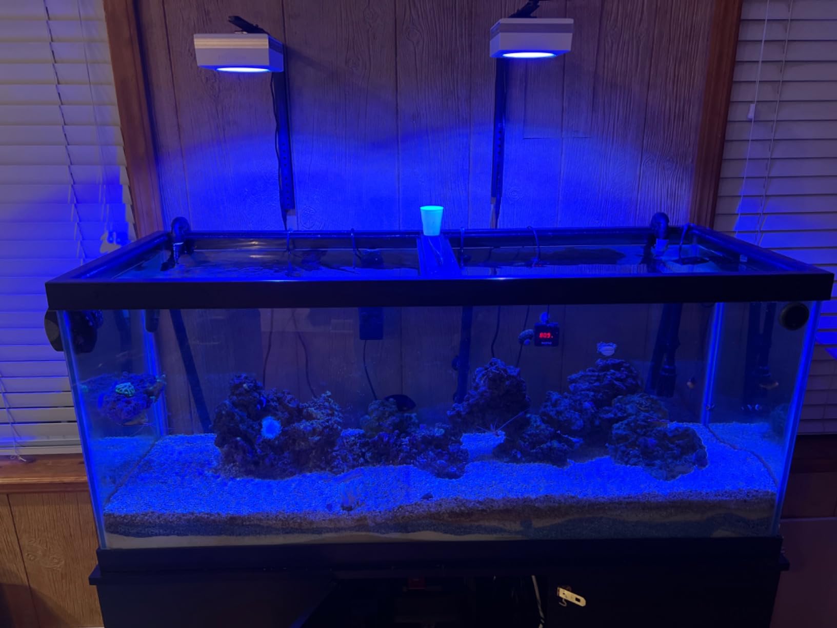 PopBloom RL90 WiFi Reef LED Light, 200W Reef Aquarium Lighting for SPS LPS Corals and Saltwater Fish Tanks, Enhanced Violet and Blue Spectrum customer photo 2