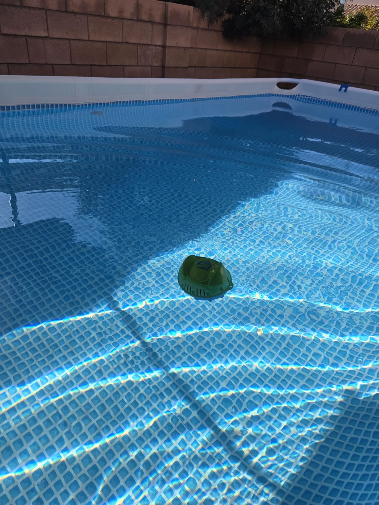 Flippin FROG Floating Sanitizer System for Pools 2,000 to 5,000 Gallons - Prefilled Floater with Sanitizing Minerals and Low Chlorine for Easy Pool Treatment & Maintenance customer photo 1