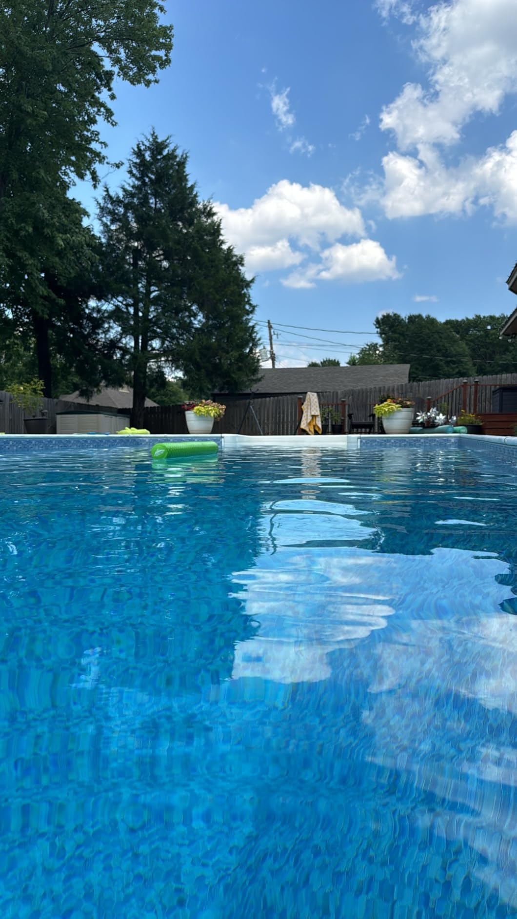 FROG Instant FROG for Pools - Prefilled Sanitizing Mineral Dispenser for Pools Up to 25,000 Gallons customer photo 1