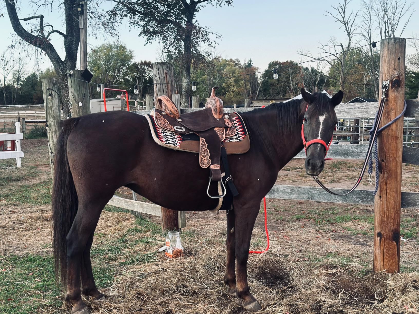 HILASON Western Horse Saddle Flex Tree American Leather Trail Barrel | for Horses customer photo 1