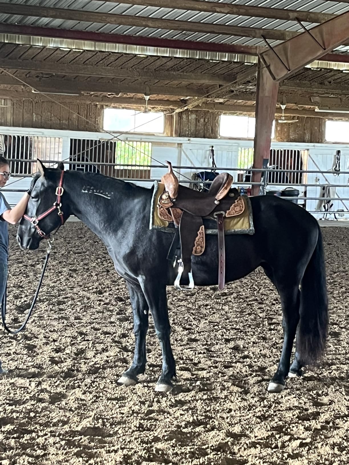 HILASON Western Horse Saddle Flex Tree American Leather Trail Barrel | for Horses customer photo 2