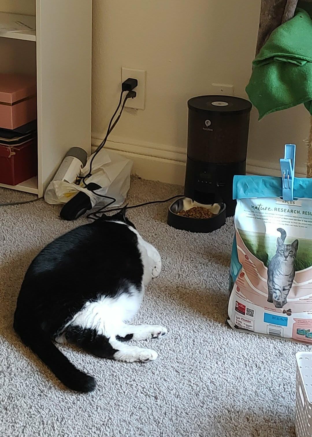 PETULTRA Automatic Cat Feeder: 4L Timed Cats Food Dispenser Programmable 1-6 Meal for Cat and Small Medium Dog - Auto Pet Feeder Easy to Set Up Dual Power Supply with Desiccant Bag, Detachable Washable customer photo 1
