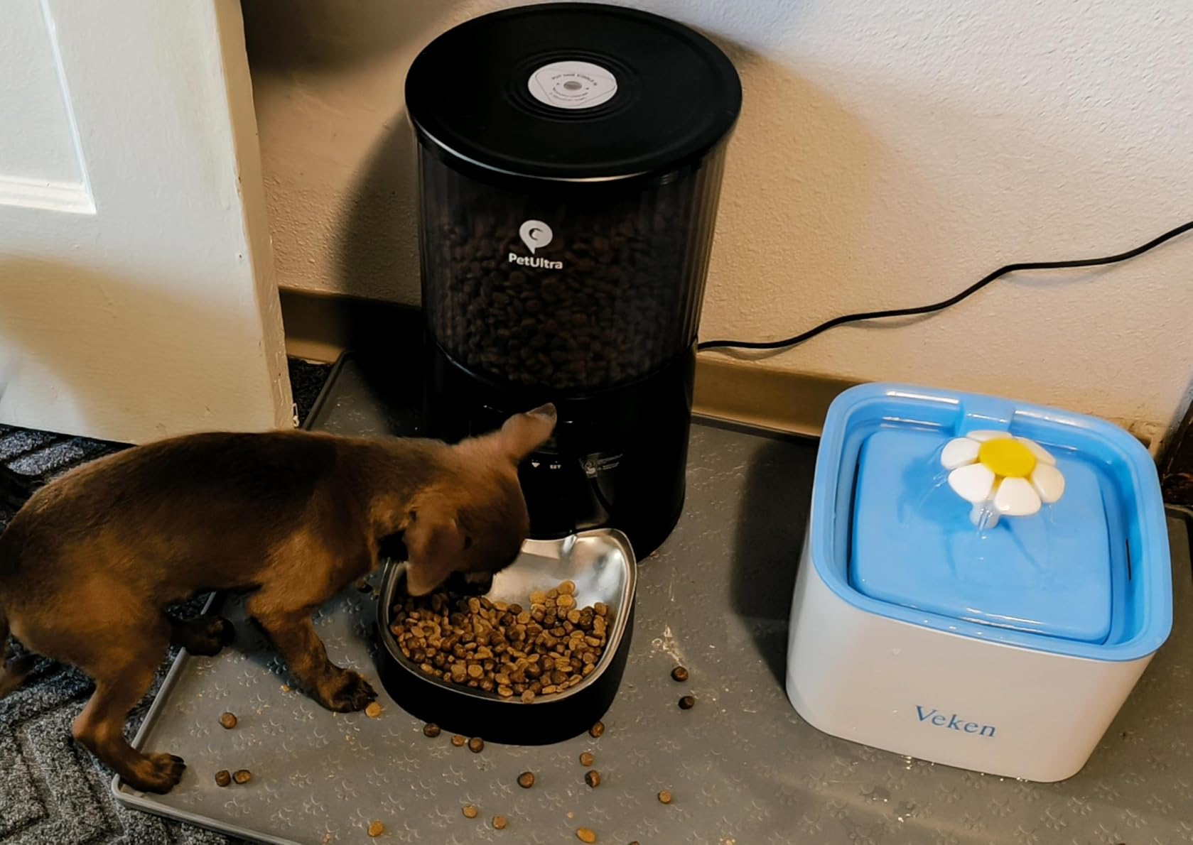 PETULTRA Automatic Cat Feeder: 4L Timed Cats Food Dispenser Programmable 1-6 Meal for Cat and Small Medium Dog - Auto Pet Feeder Easy to Set Up Dual Power Supply with Desiccant Bag, Detachable Washable customer photo 2
