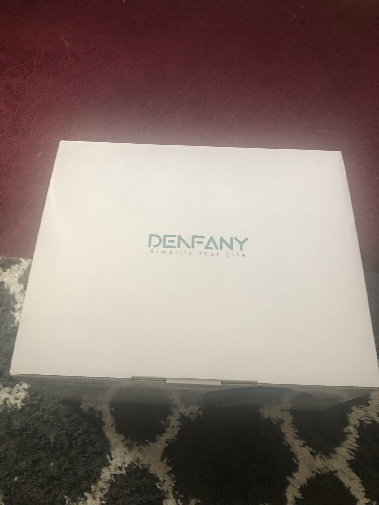DENFANY Hair Steamer Facial Steamer 2 in 1 - Nano Ionic Steam for Deep Hydration, Adjustable Arm, Easy-Clean Wide Mouth Tank, Home & Salon Use customer photo 1