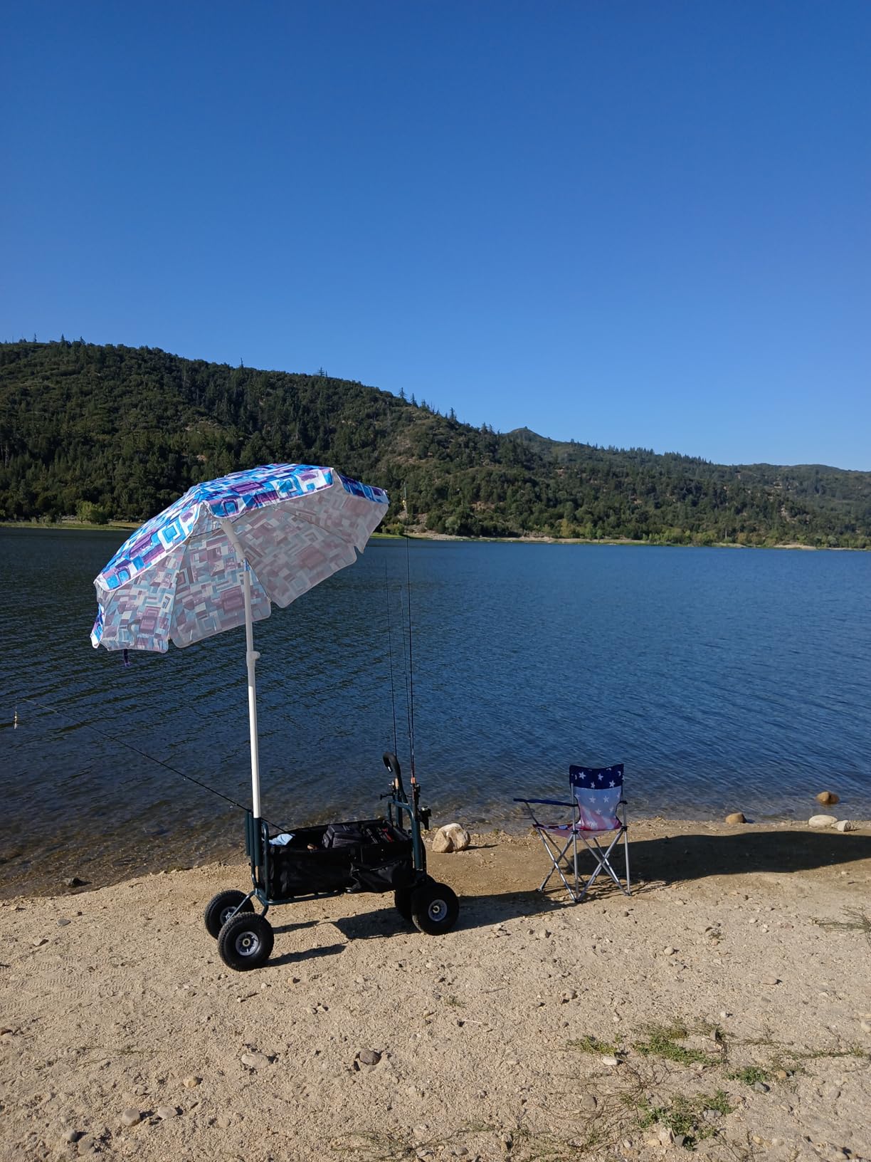 GDLF Fishing Cart Beach Carts Heavy Duty Foldable Collapsible Wagon with Big Wheels and Rod Holders 550 Pound Capacity customer photo 1