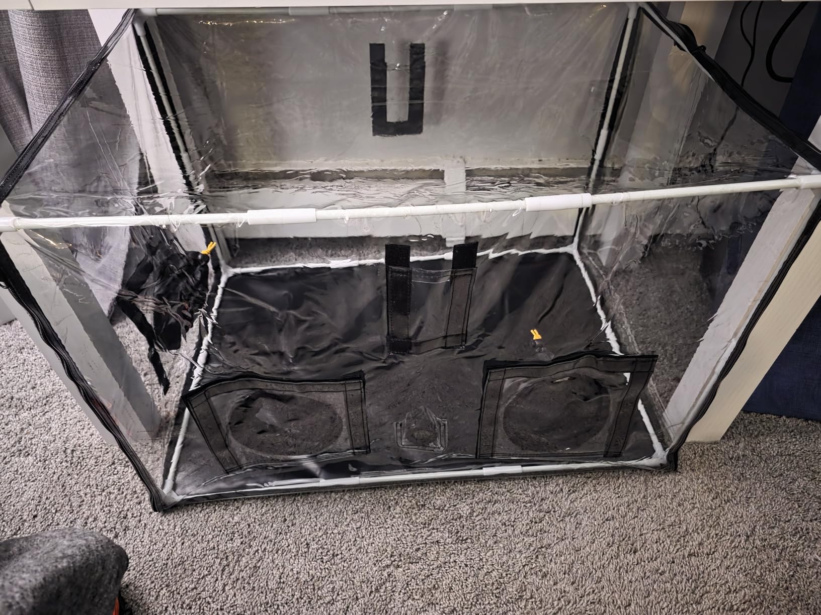 Large Still Air Box Mushroom Mycology Fume Hood Propagation StationsGrow Kit Mushroom Grow Bags Your Monotub Kit Mushroom Planting BagTent for Spores Horticulture Supplies （31.5 * 20.5 * 20.5inch） customer photo 2