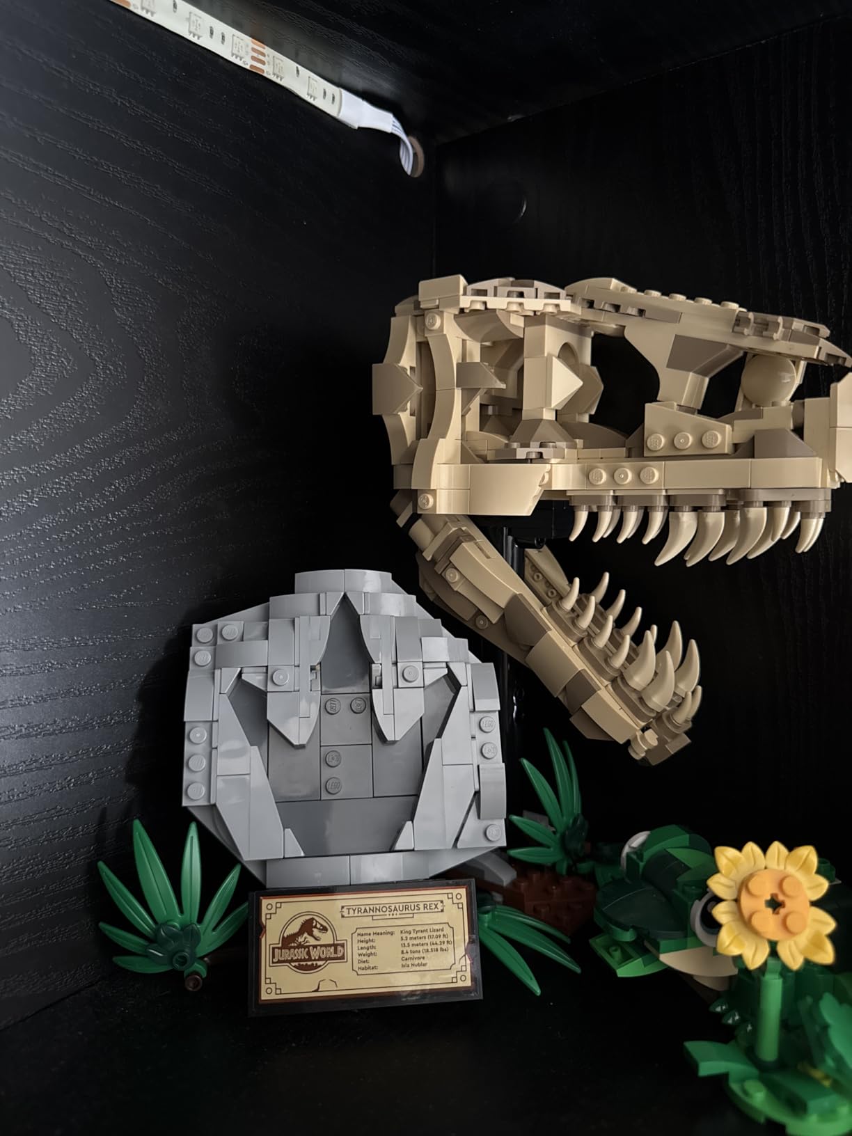 LEGO Jurassic World Dinosaur Fossils: T Rex Skull Building Toy - Dinosaur Toy for Boys & Girls, Ages 9+ Years - Gift for Christmas - Display for Bedroom - 76964 customer photo 1