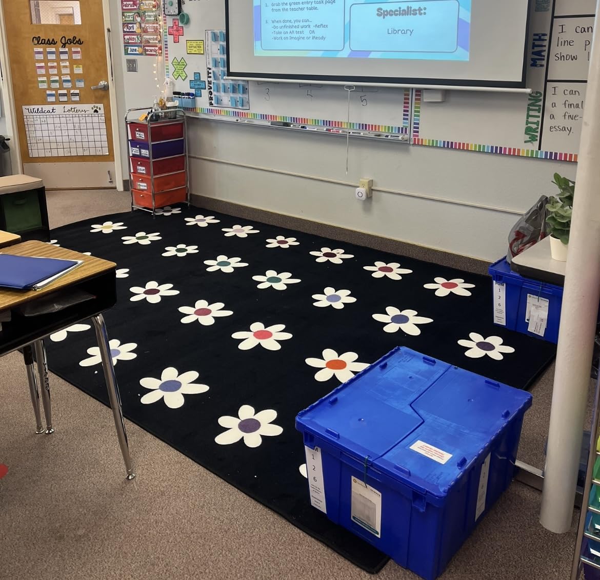 Flagship Carpets Daisies on Black Criss-Cross Applesauce Educational Area Rug for Kids Room, Children's Classroom, Play Carpet for Teaching and Playroom, 7'6