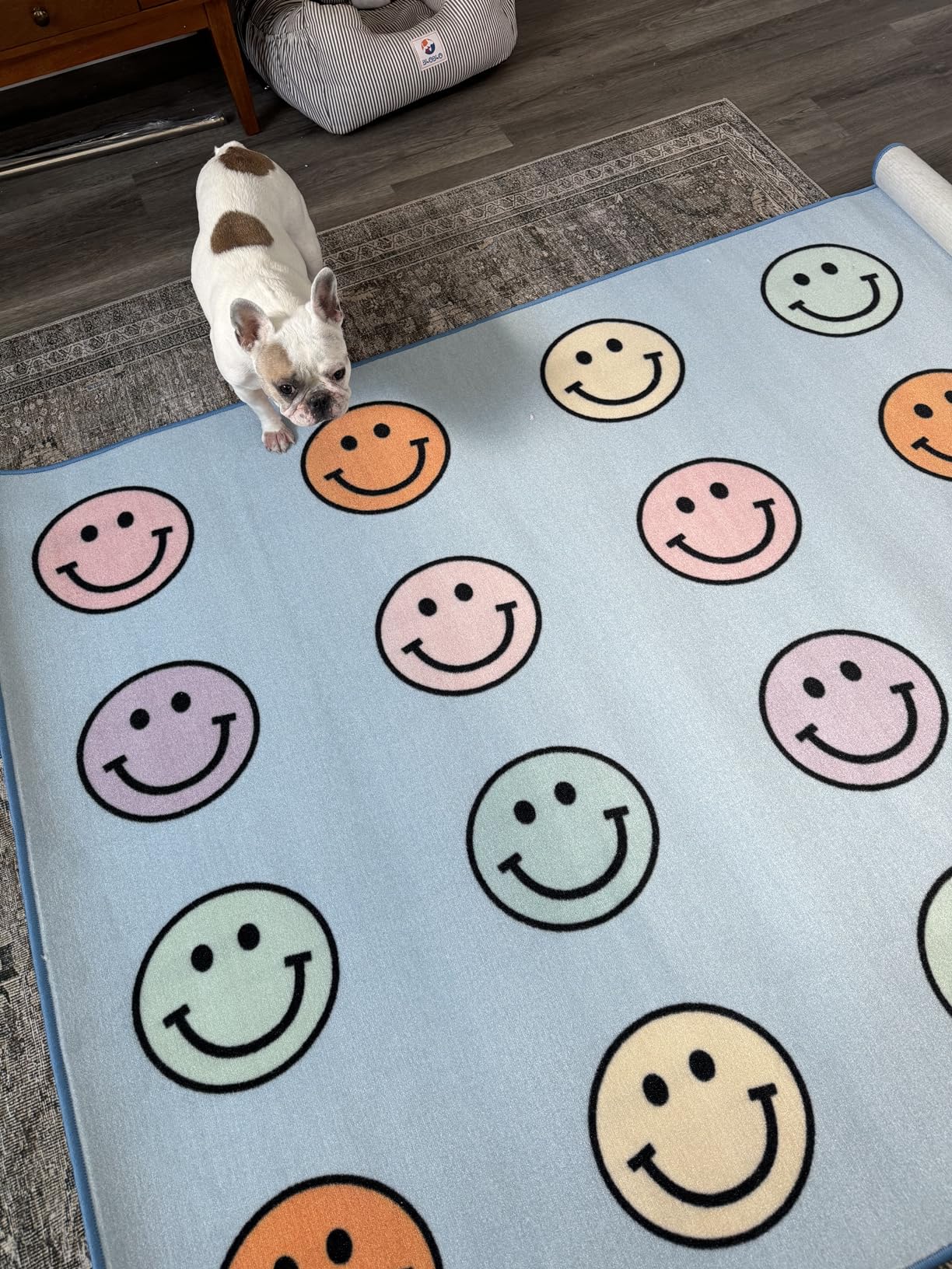 Flagship Carpets Pastel Rainbow Smileys Criss-Cross Applesauce Educational Area Rug for Kids Room, Children's Classroom for Teaching and Playroom, 5' x 7'6