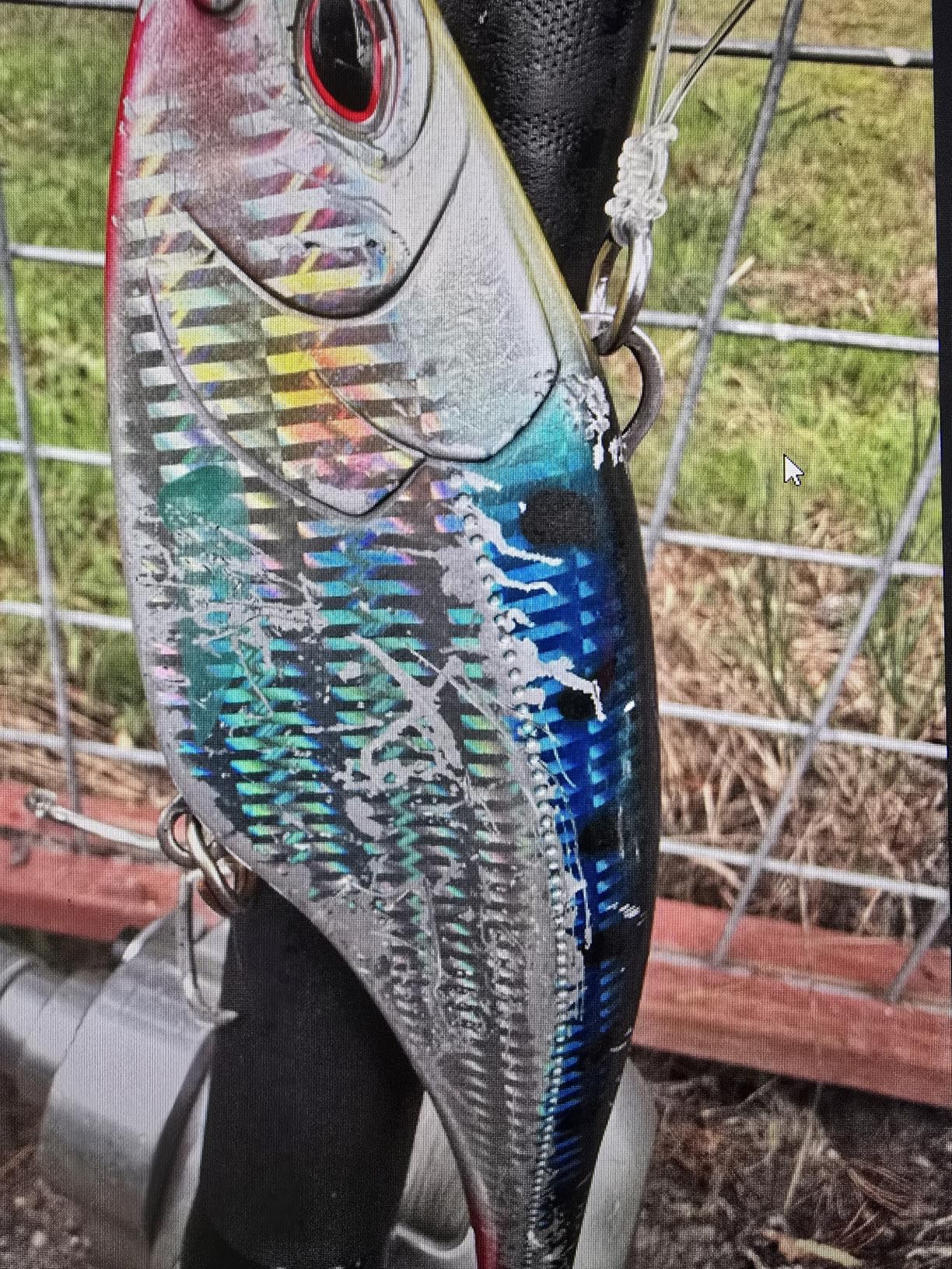 Nomad Design Madmacs High-Speed Trolling Lure - Offshore Sinking Minnow with BKK Hooks, Heavy-Duty Split Rings & Autotune System for Tuna, Wahoo & GT customer photo 1