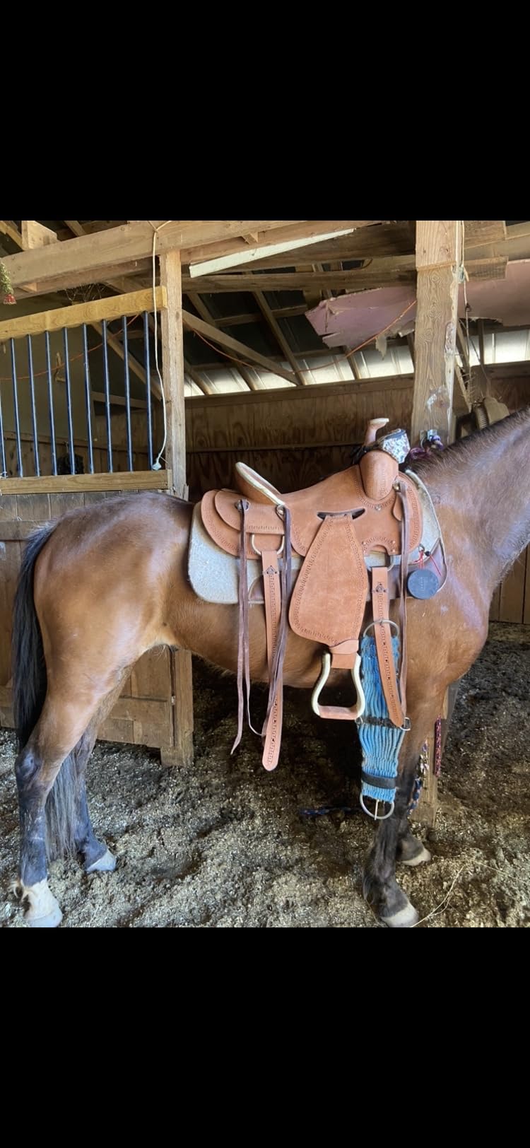 RESISTANCE Western Adult Roughout Ranch Saddle with Serpentine Tool customer photo 1