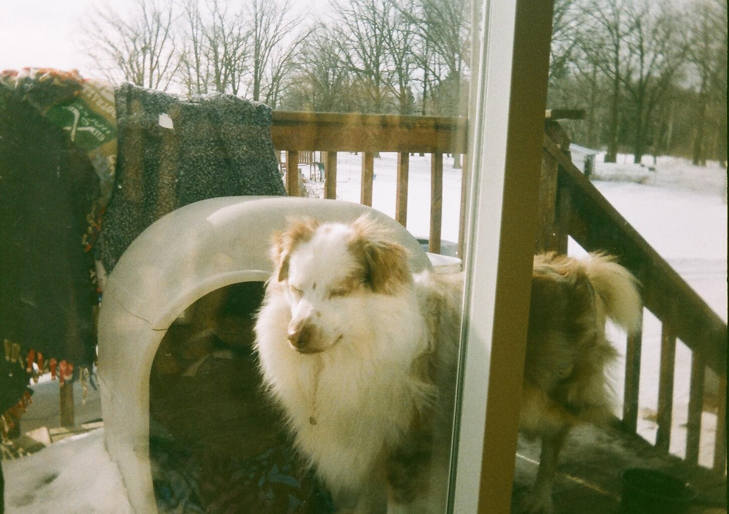 Kodak EKTAR H35 Half Frame Film Camera (Sage, Bundle with 24exp Film) customer photo 2