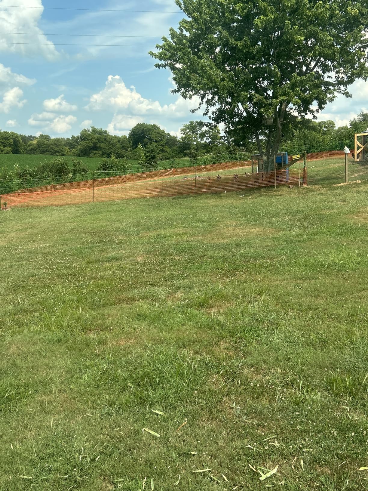 Electric Fence Netting, 49.6
