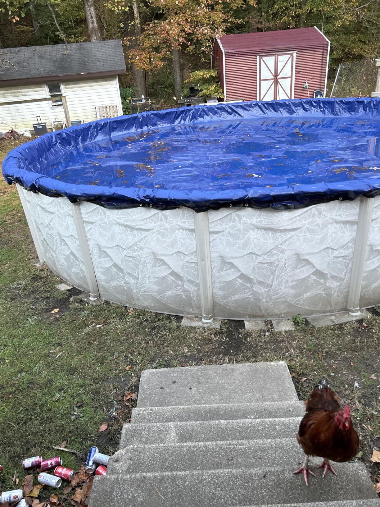 15-ft x 30-ft Oval Premium Heavy-Duty Winter Pool Cover - Royal Blue, Extra Thick and Durable, Tear-Proof, UV-Resistant, Reinforced Edges, Easy Install, All-Season Protection for Above Ground Pools customer photo 1